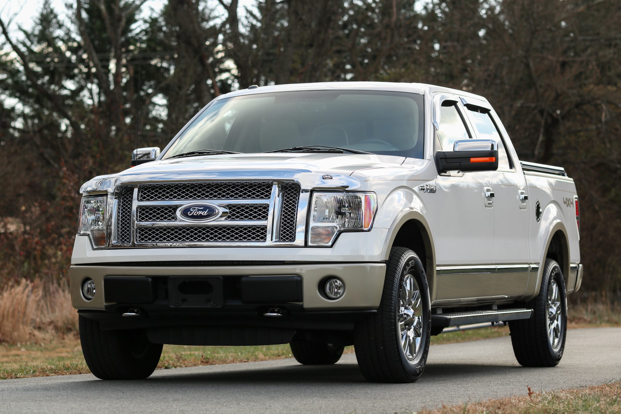 2010 Ford F-150 (2009-2014) 