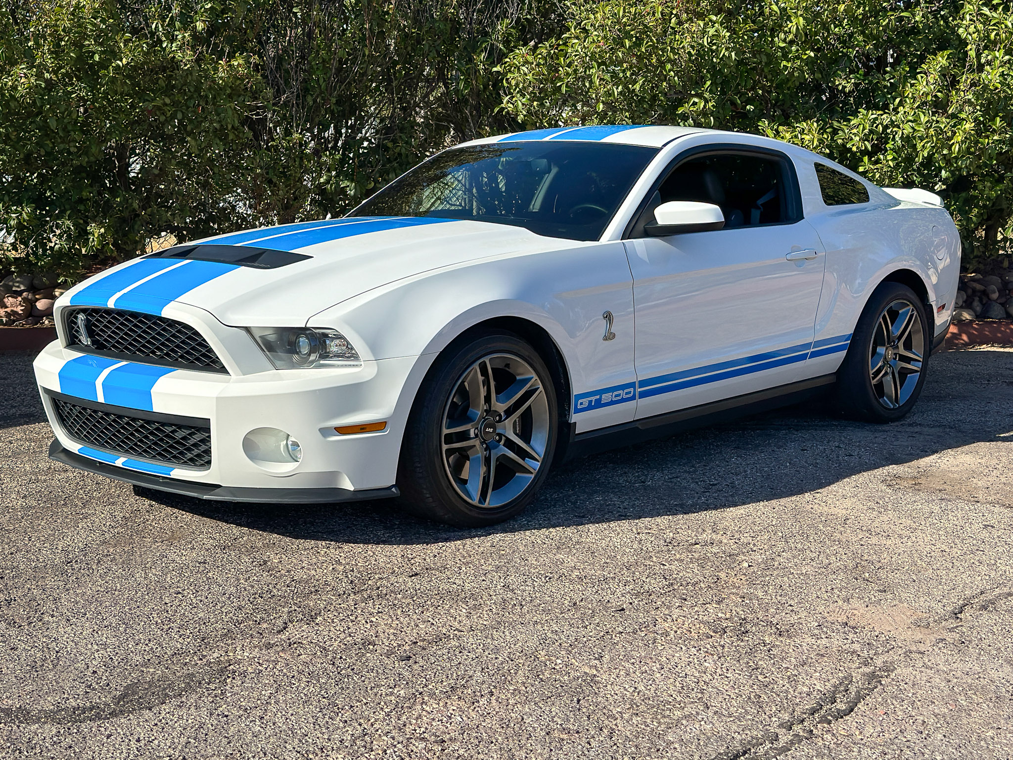 2011 Ford S197 Shelby Mustang 
