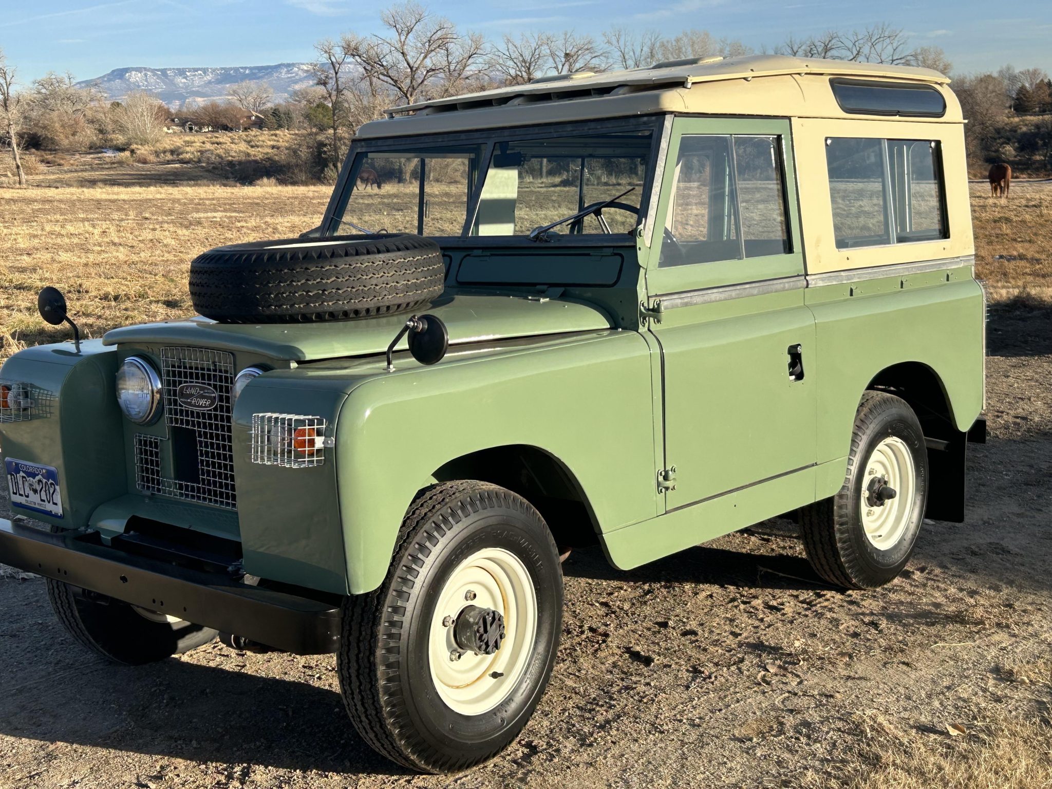 1965 Land Rover Series 88 