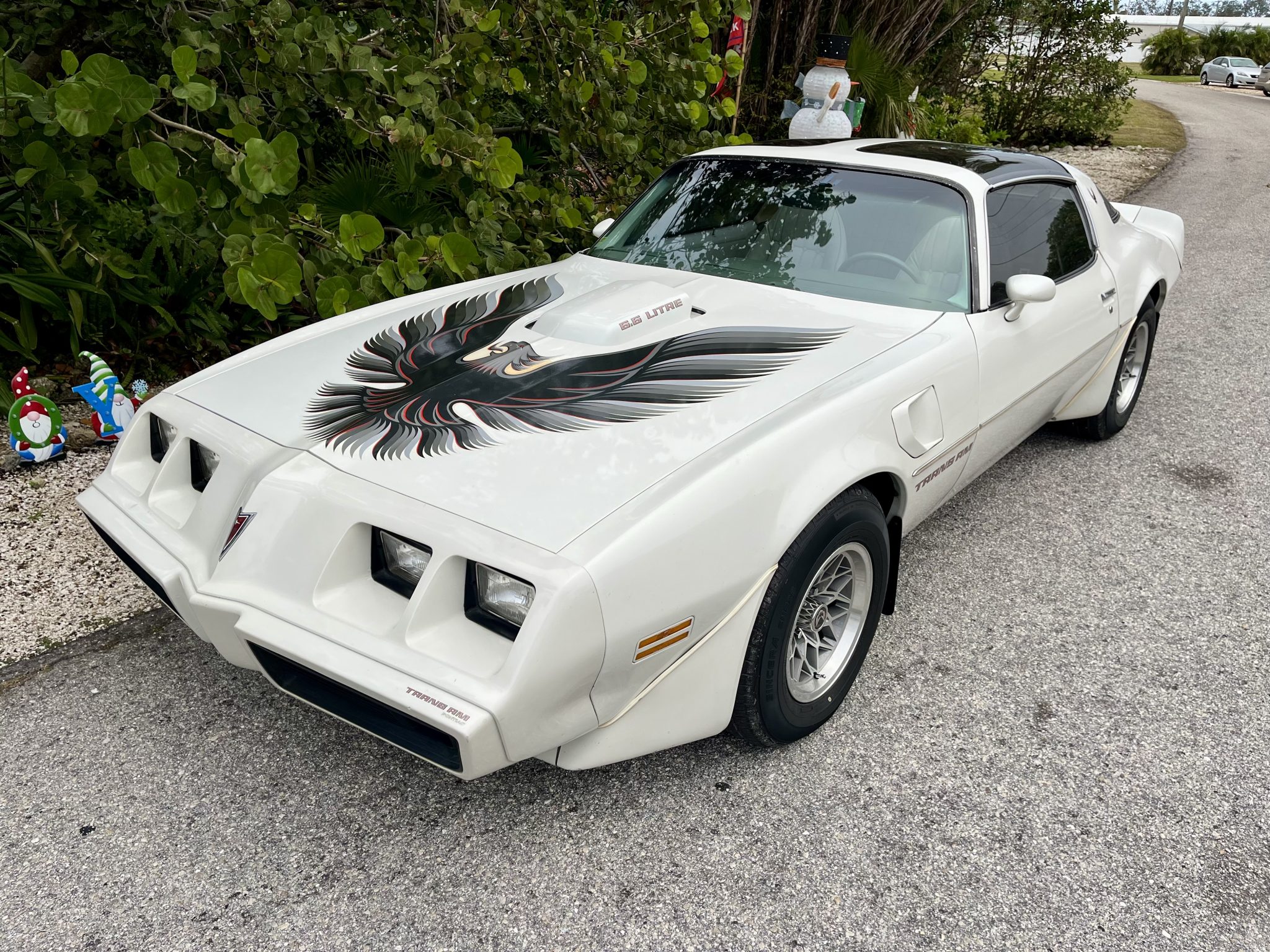 1979 Pontiac Firebird (1970-1981) 