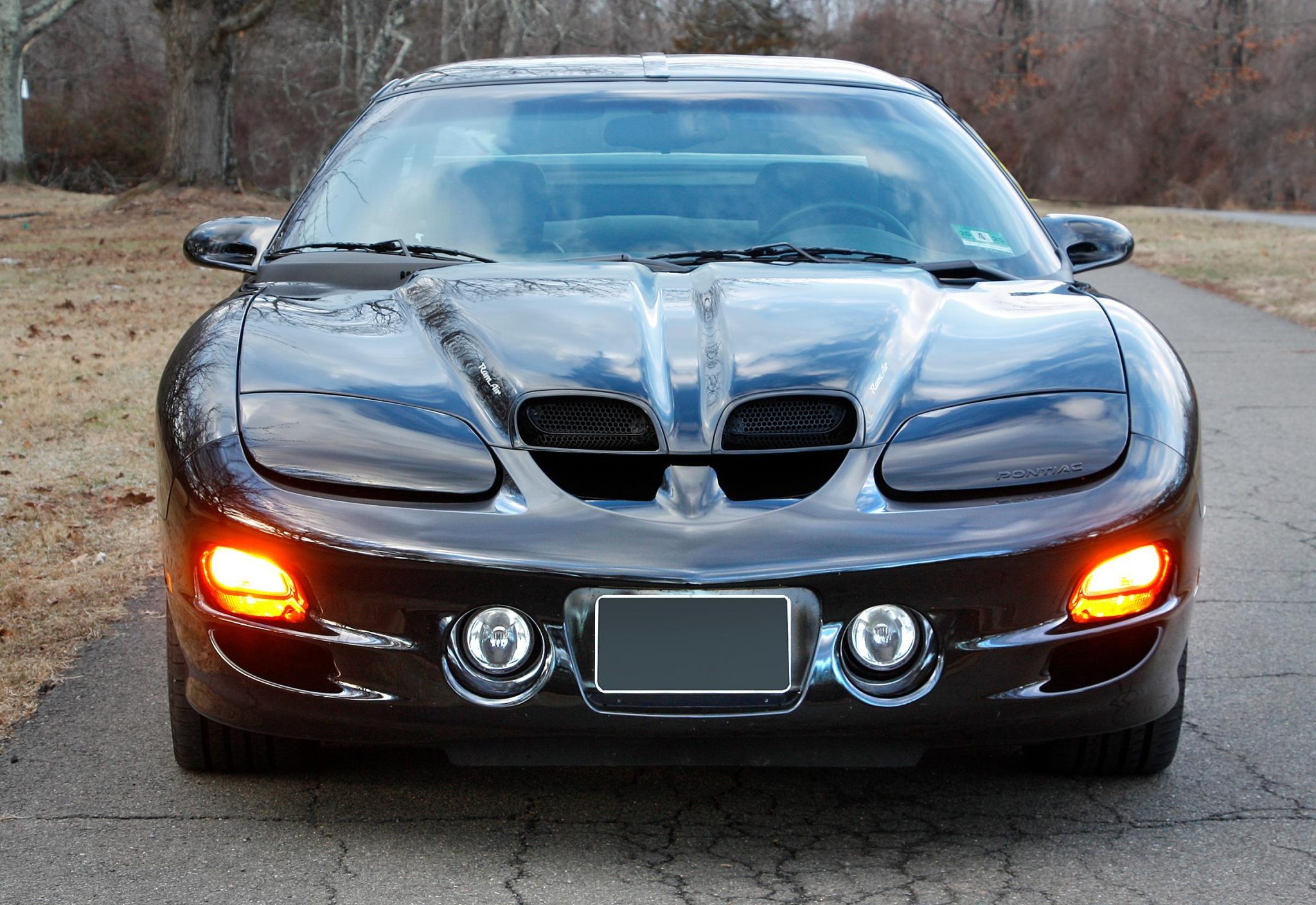 1999 Pontiac Firebird (1993-2002) 