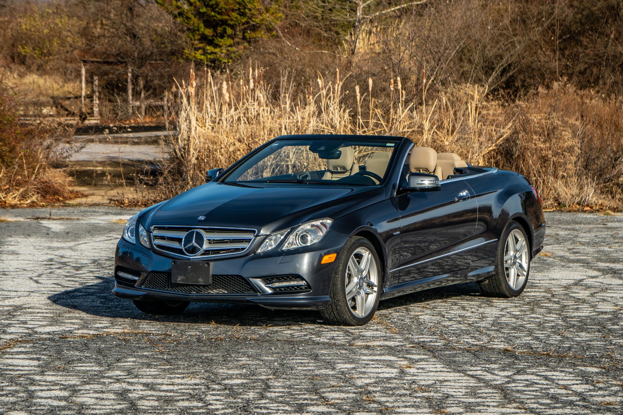 2012 Mercedes-Benz C207 E-Class Coupe/Cabriolet 
