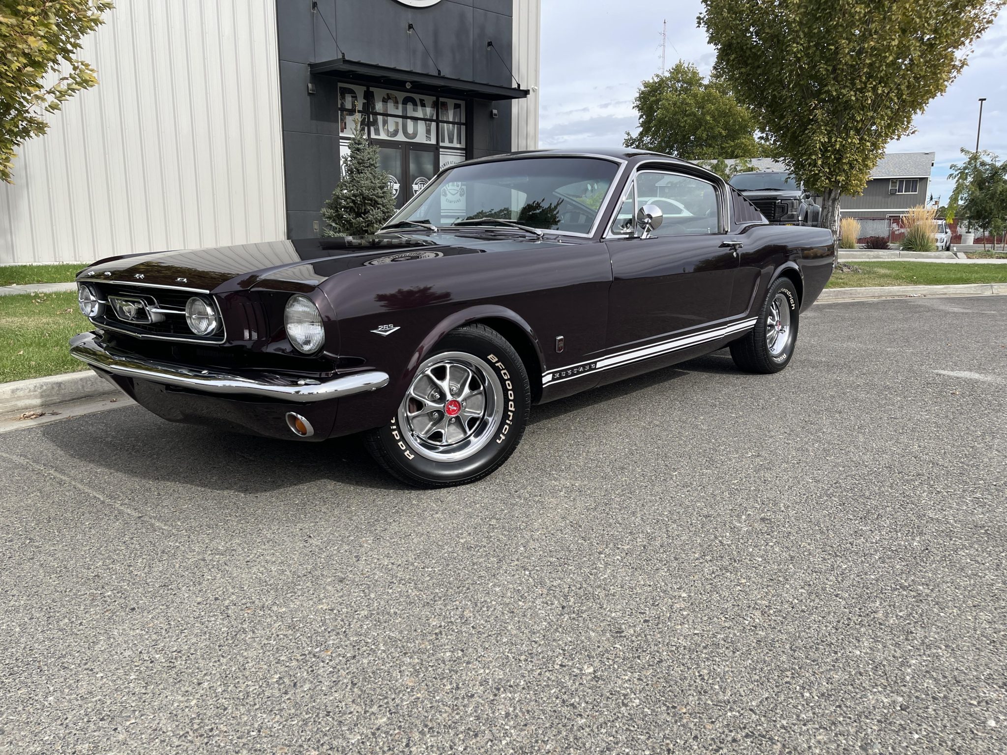 1966 Ford Mustang 1964.5-1966 
