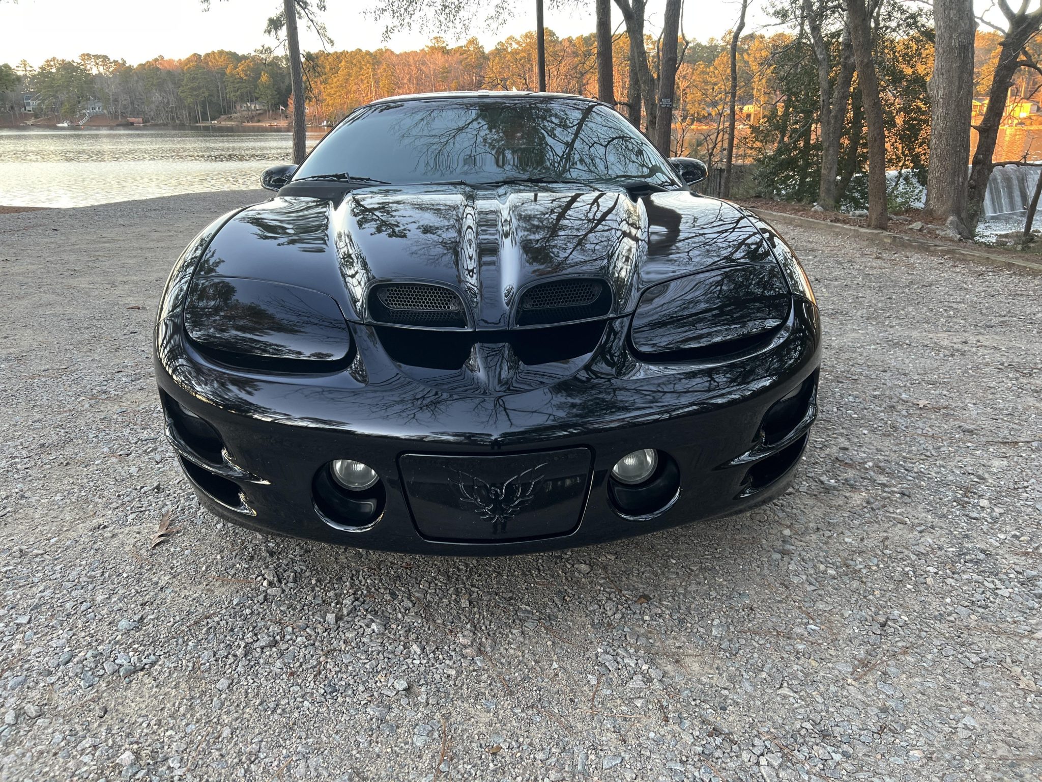 2002 Pontiac Firebird (1993-2002) 