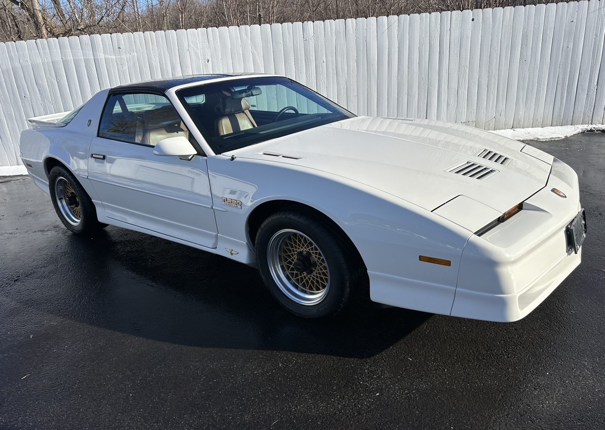 1989 Pontiac Firebird (1982-1992) 