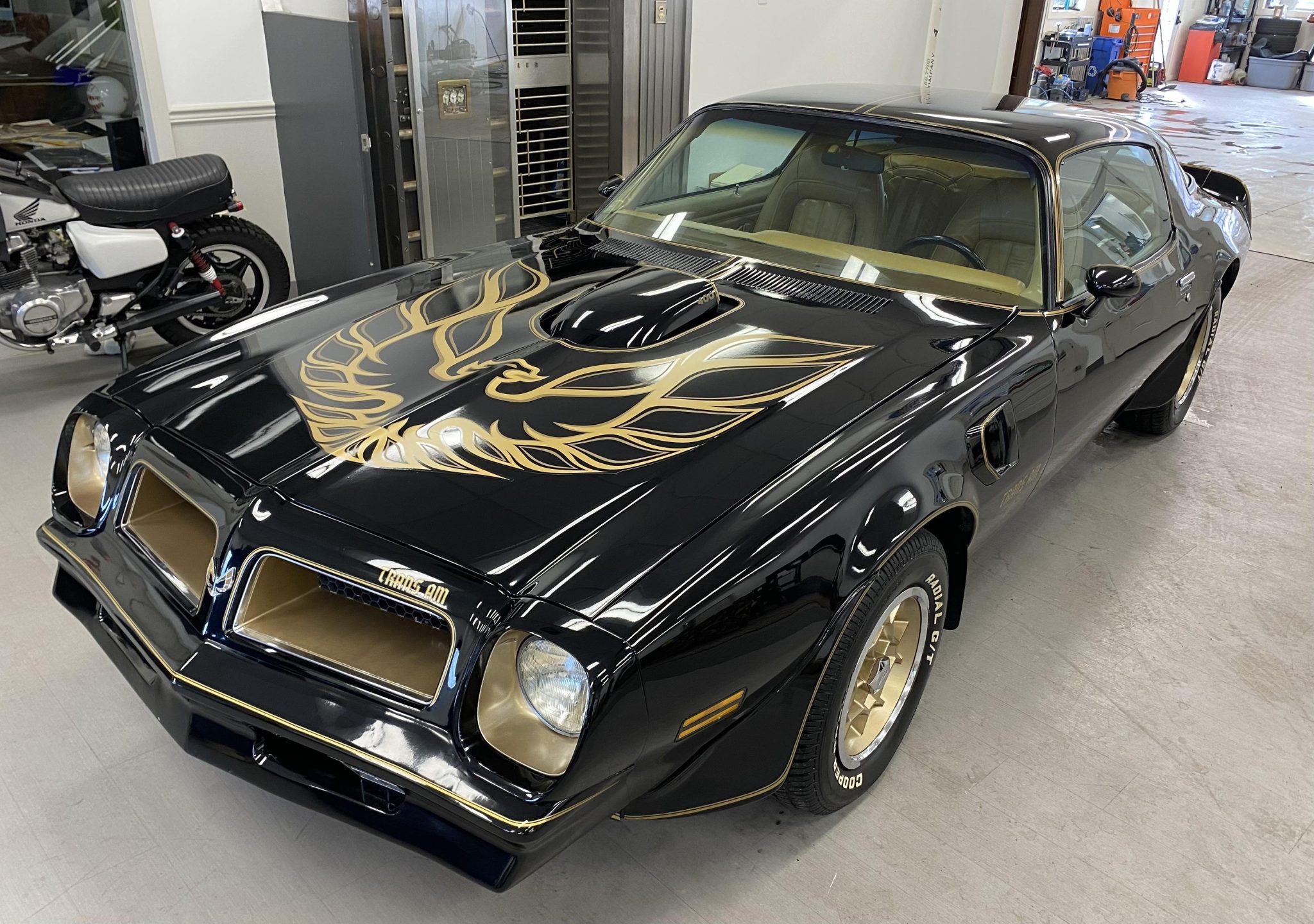 1976 Pontiac Firebird (1970-1981) 