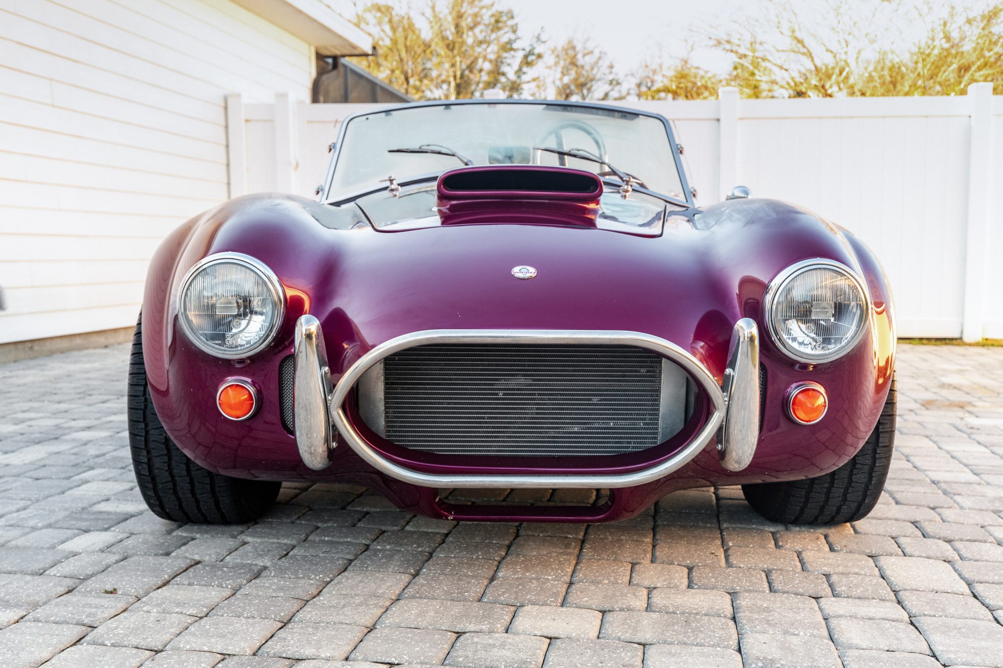 1967 Shelby Cobra Replica 