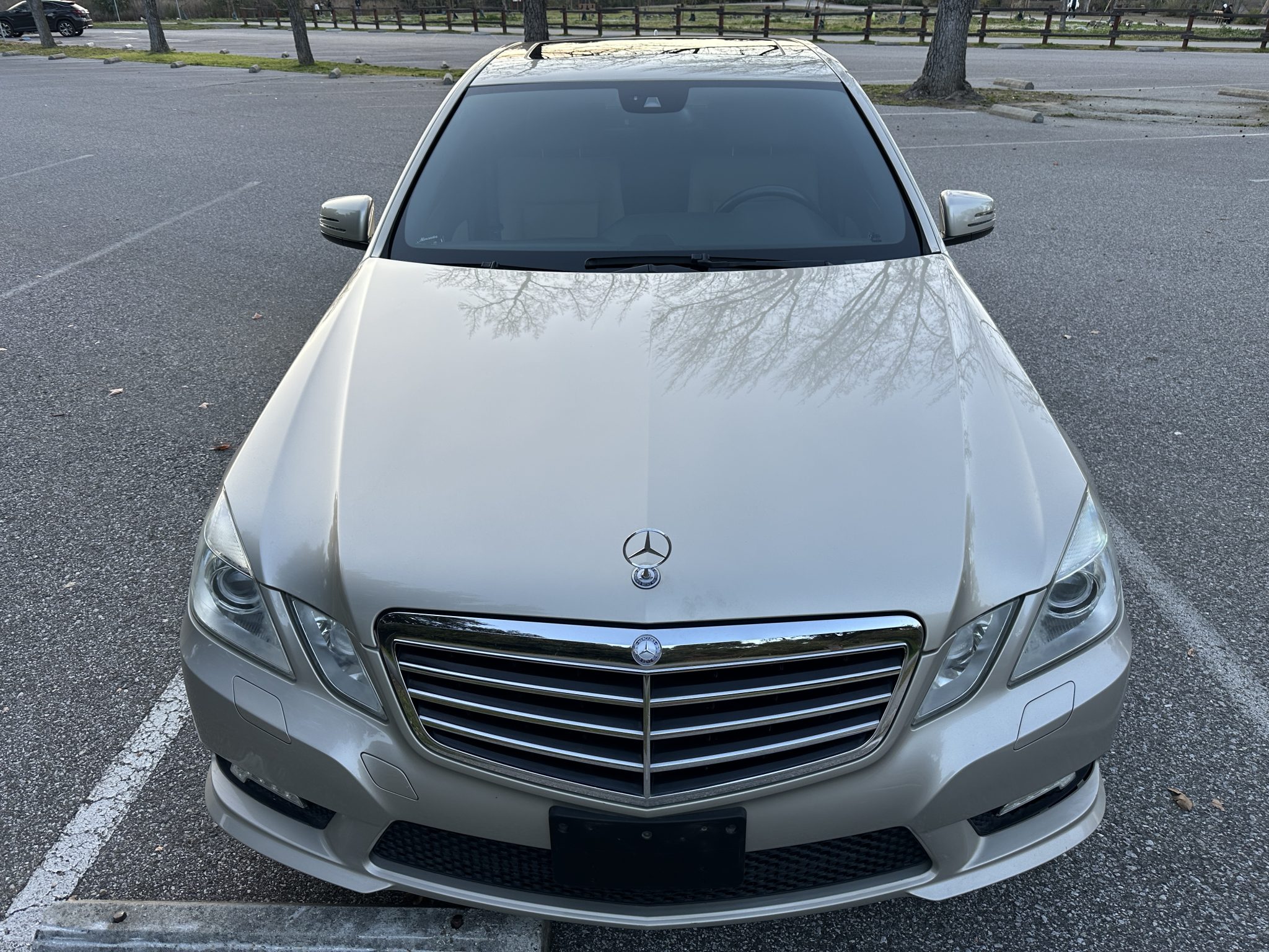 2010 Mercedes-Benz W212 E-Class 