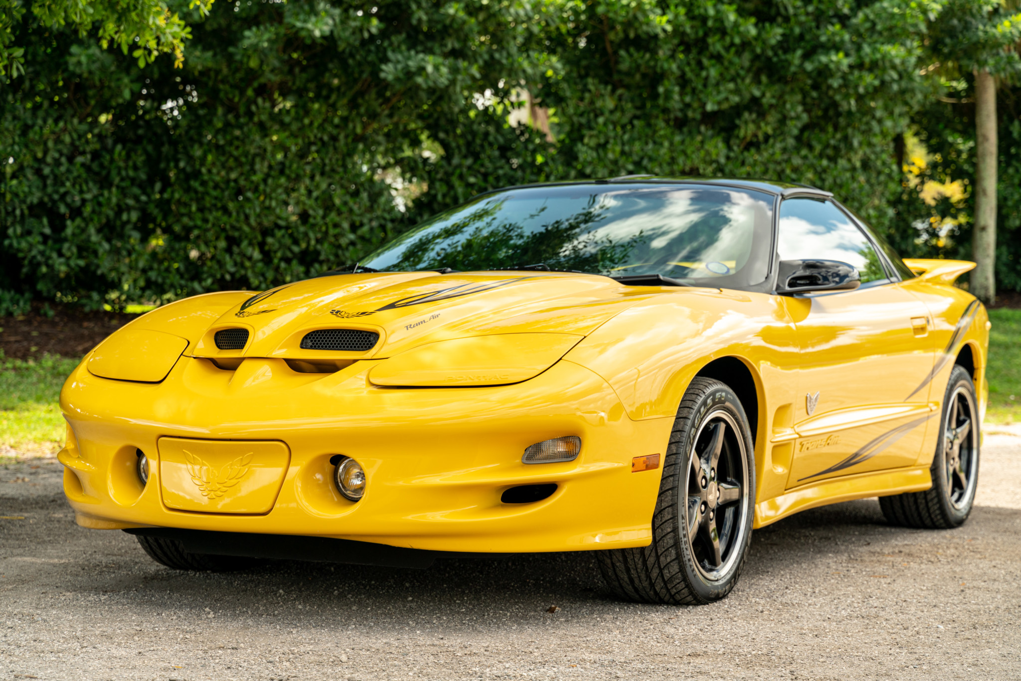 2002 Pontiac Firebird (1993-2002) 
