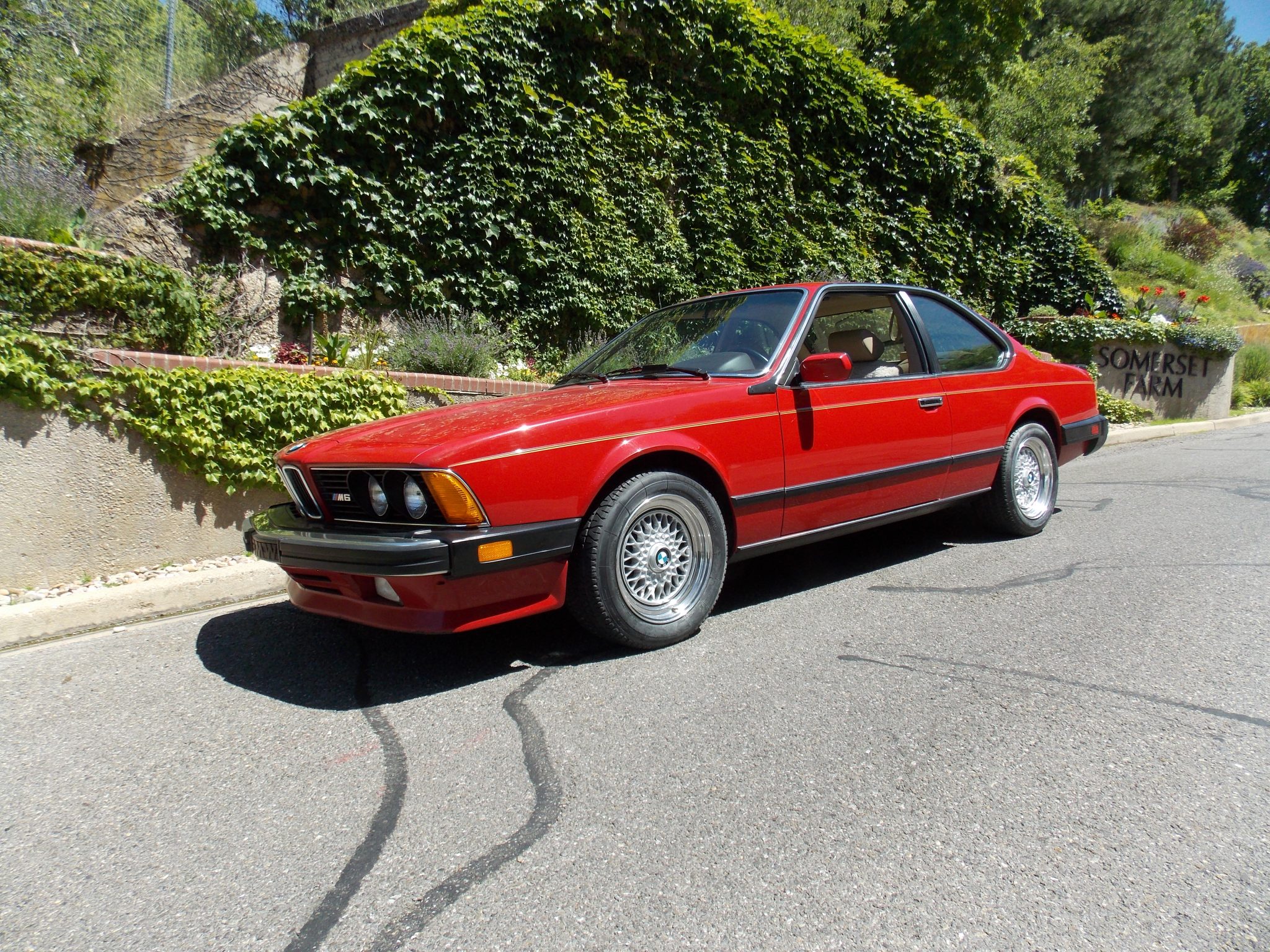 1987 BMW E24 M6 & M635CSi 