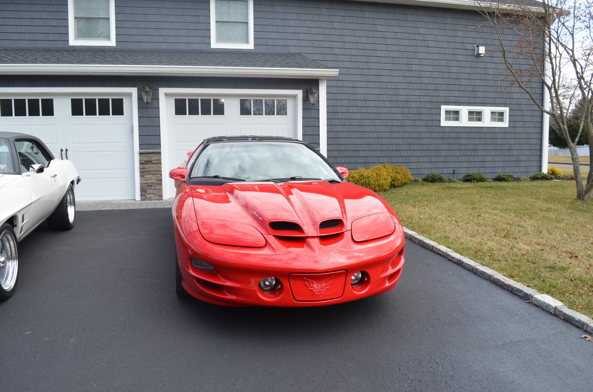 2002 Pontiac Firebird (1993-2002) 
