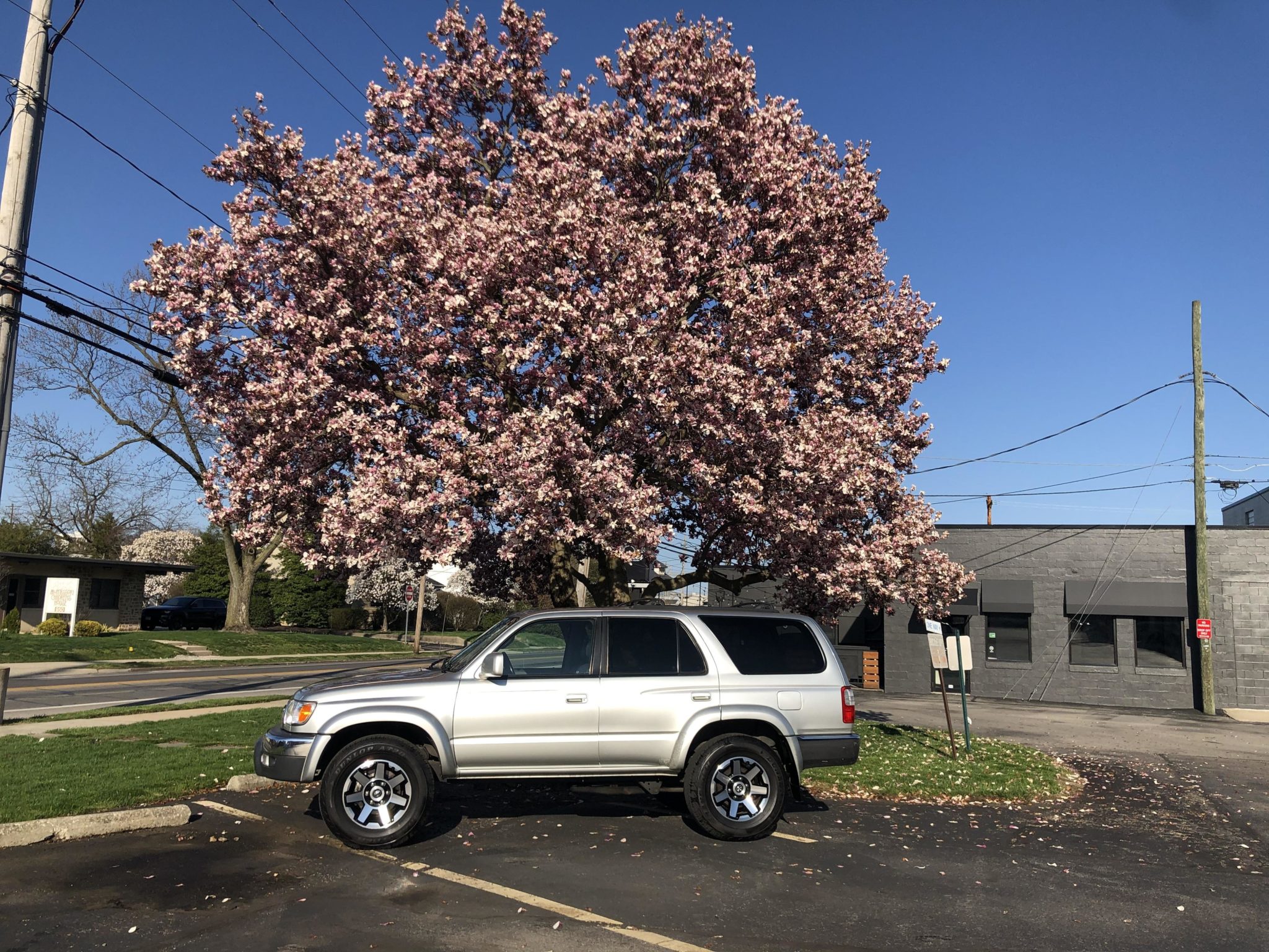 2000 Toyota 4Runner (N180) 
