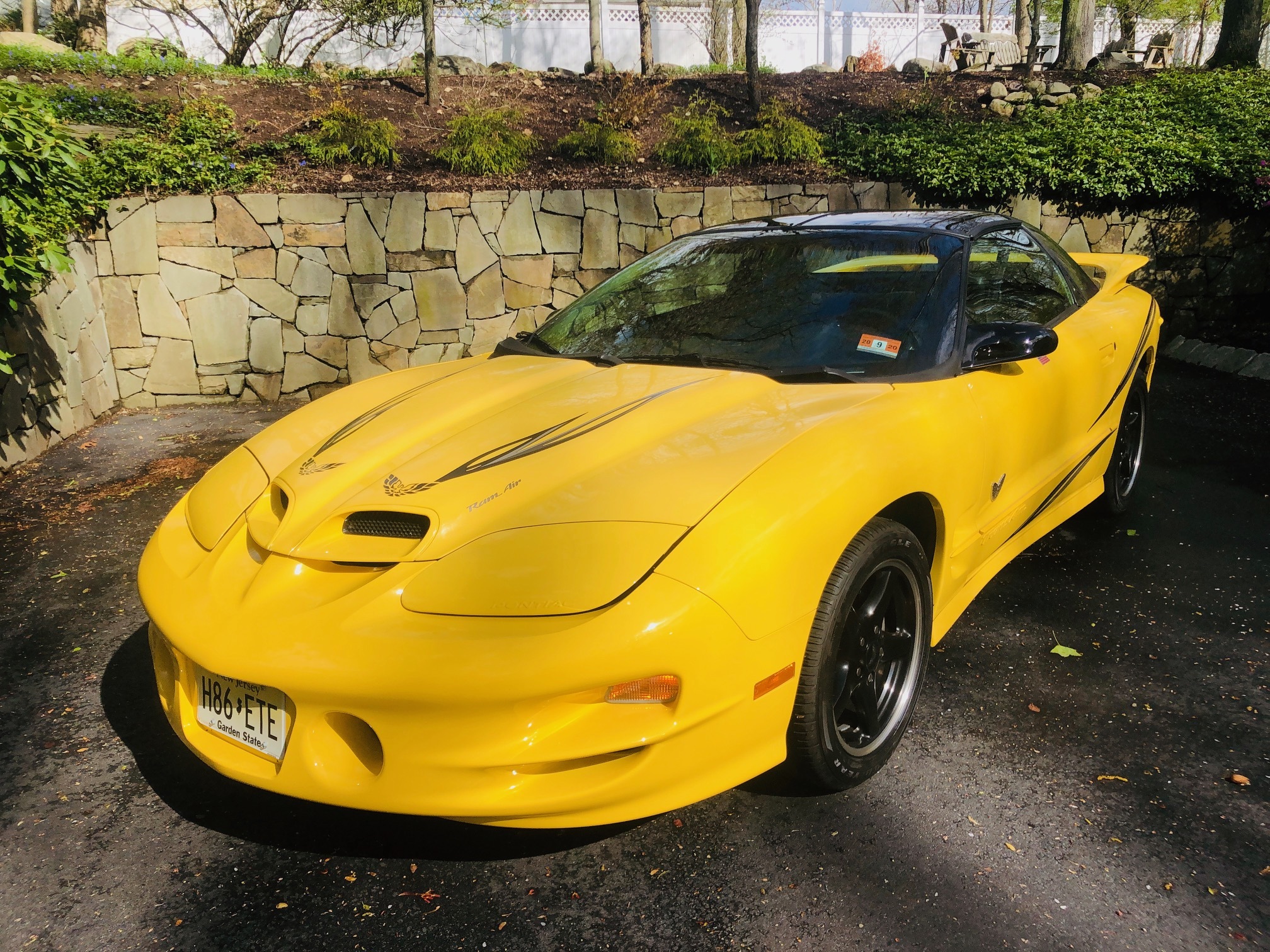 2002 Pontiac Firebird (1993-2002) 