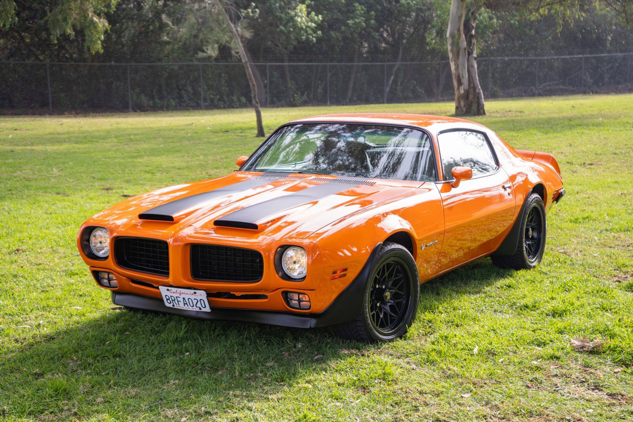 1973 Pontiac Firebird (1970-1981) 
