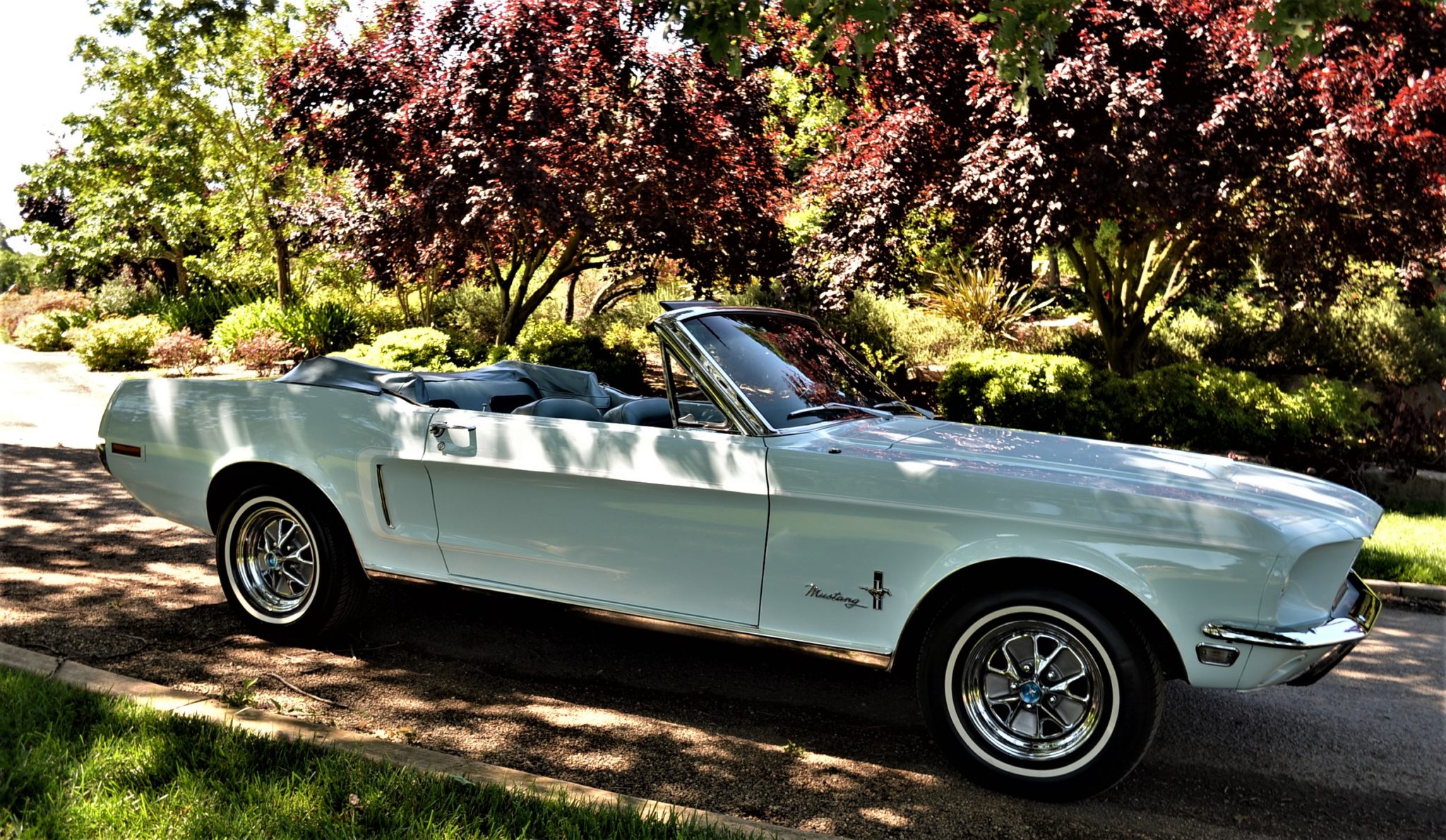 1968 Ford Mustang 1967-1968 