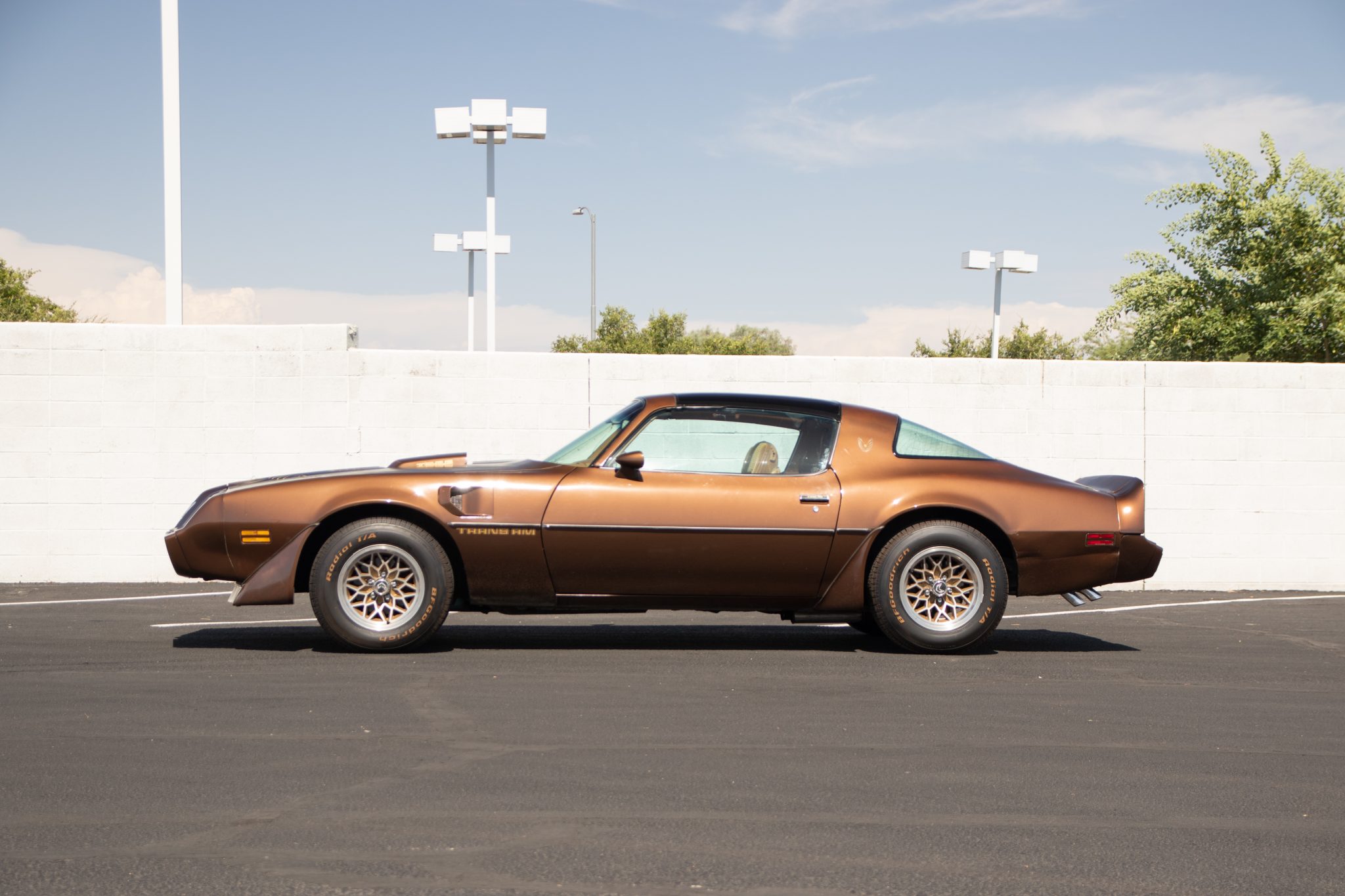 1979 Pontiac Firebird (1970-1981) 