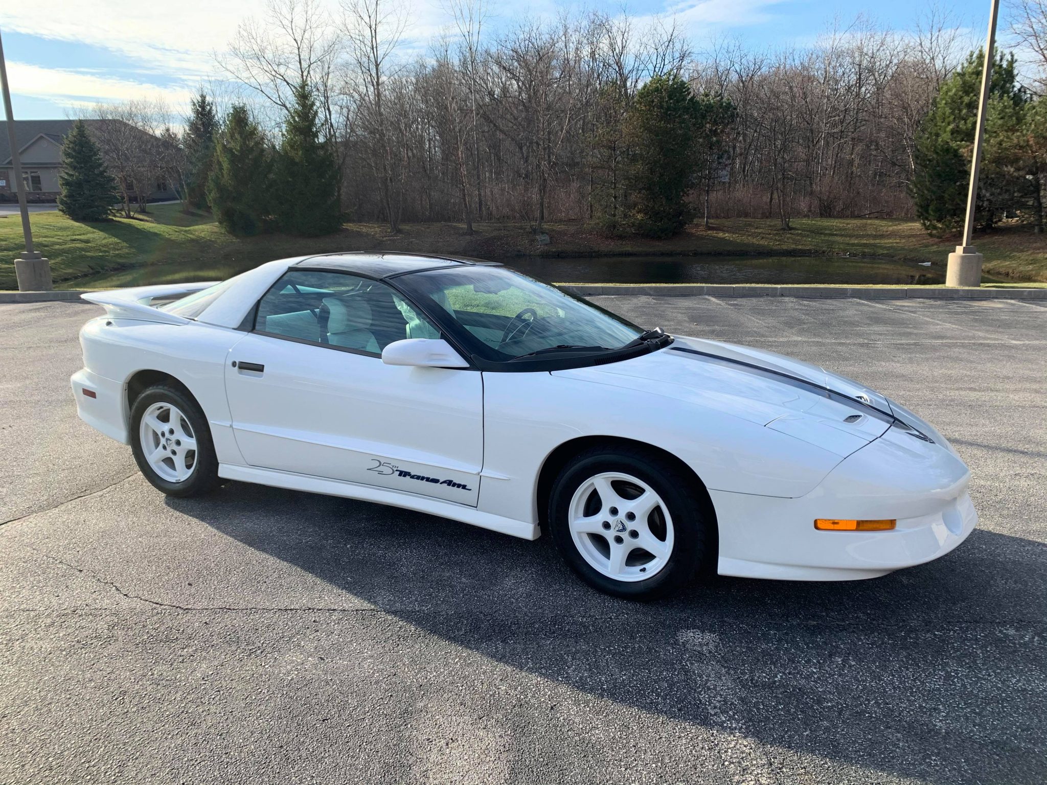 1994 Pontiac Firebird (1993-2002) 