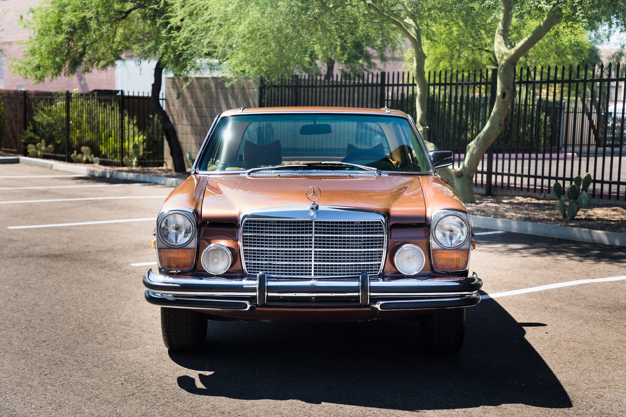 1976 Mercedes-Benz W114 & W115 