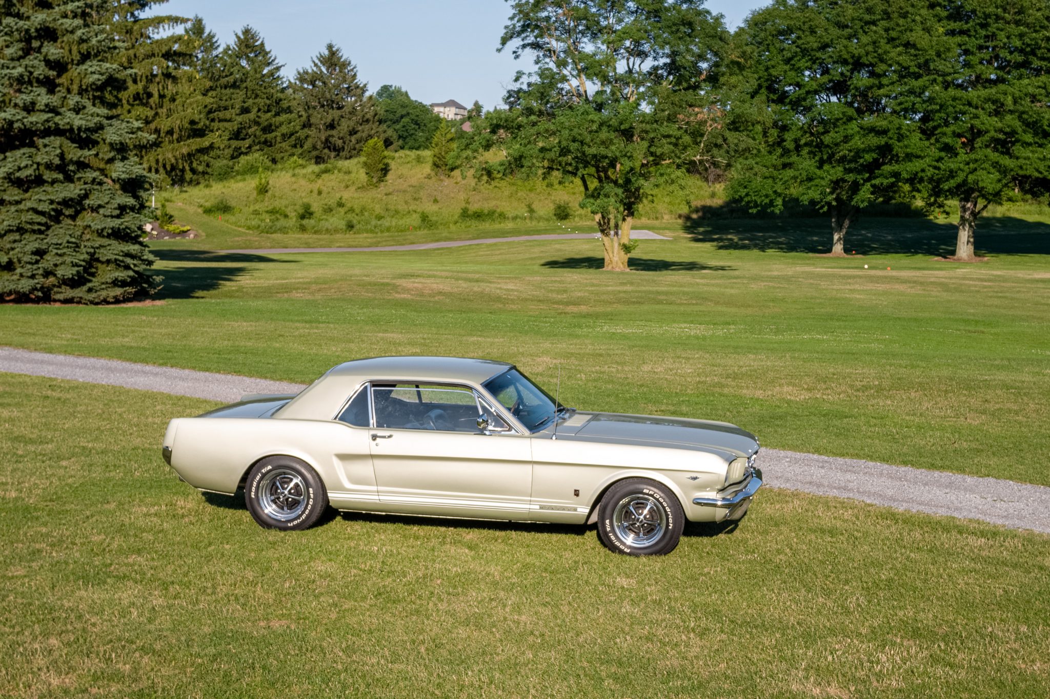 1966 Ford Mustang 1964.5-1966 