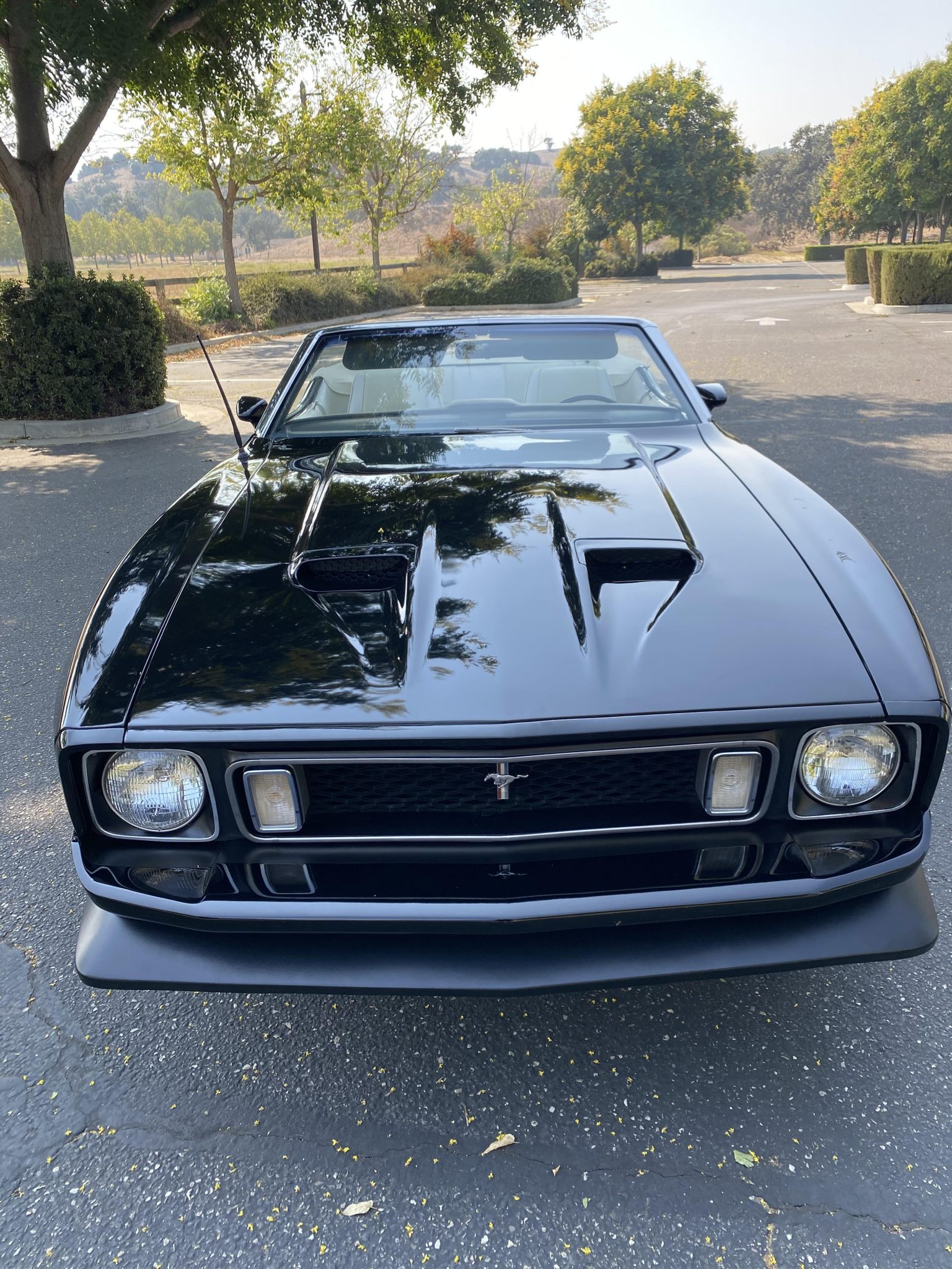 1973 Ford Mustang 1969-1973 