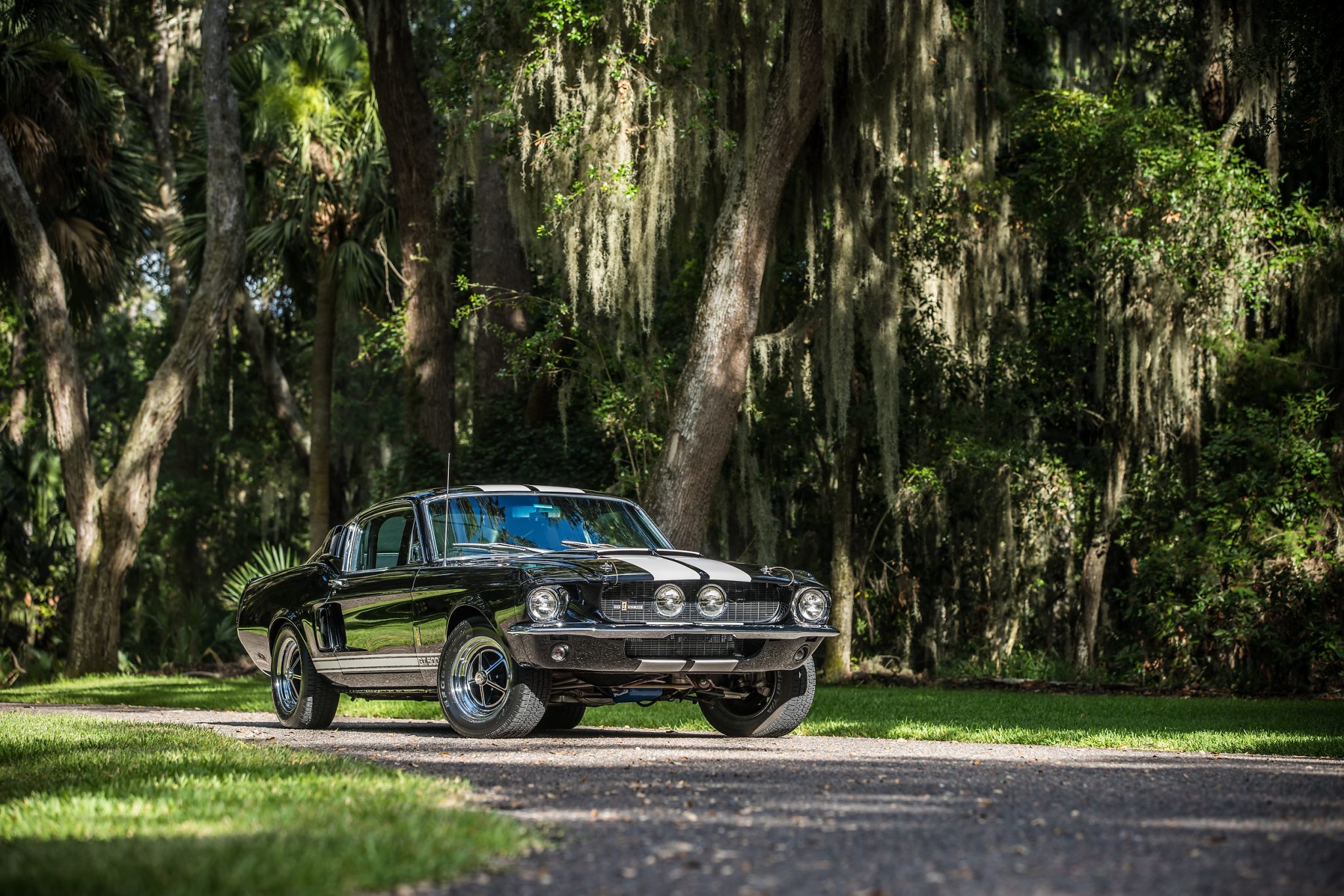 1967 Shelby Mustang GT350 & GT500 
