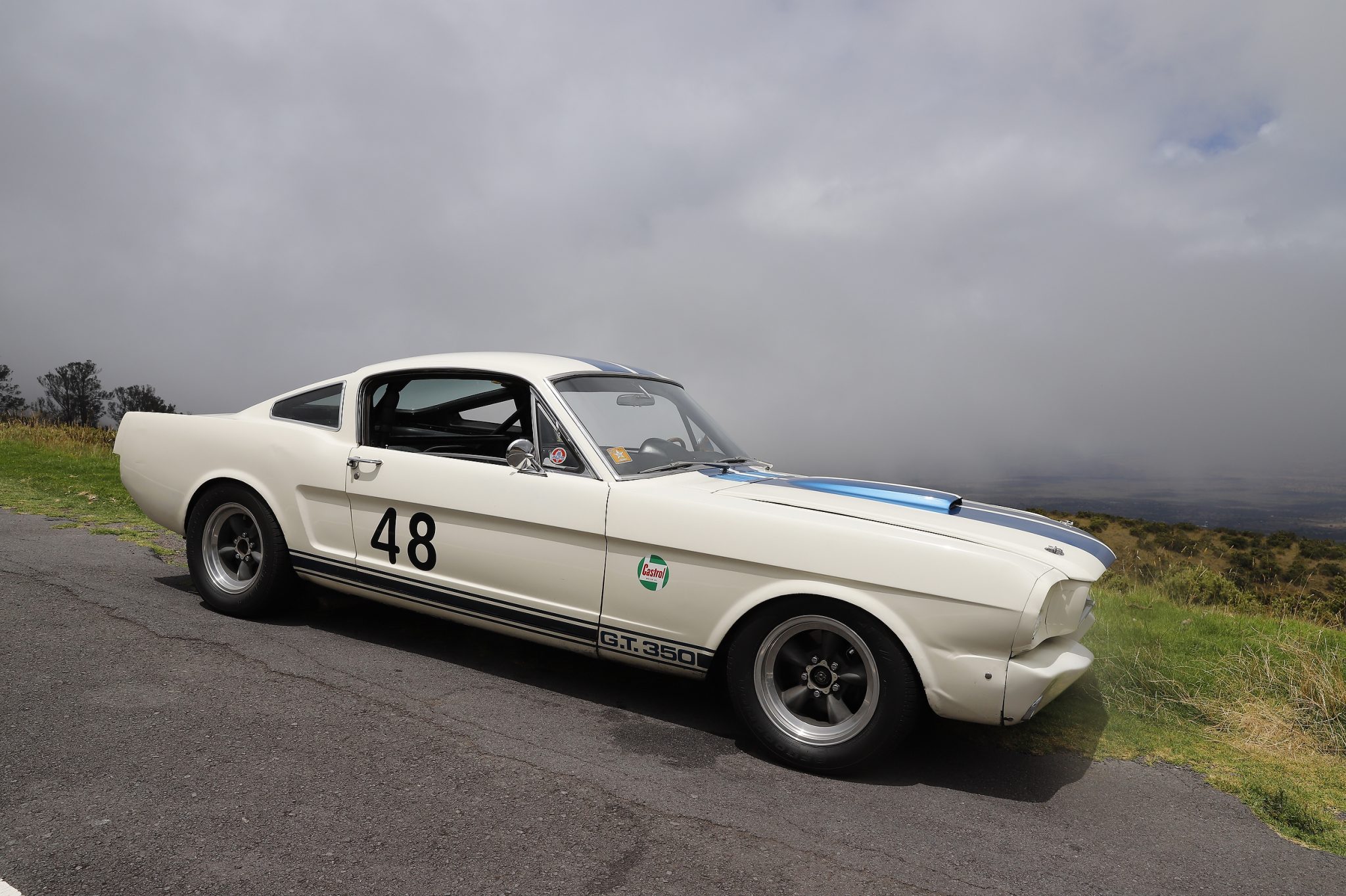 1965 Shelby Mustang GT350 & GT500 