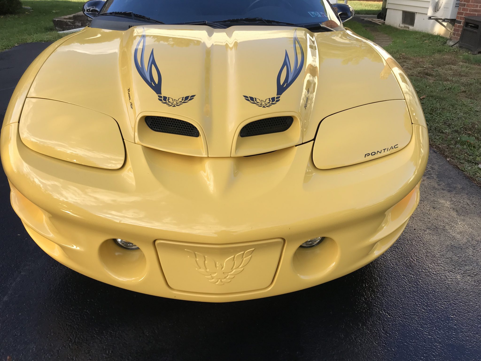 2002 Pontiac Firebird (1993-2002) 