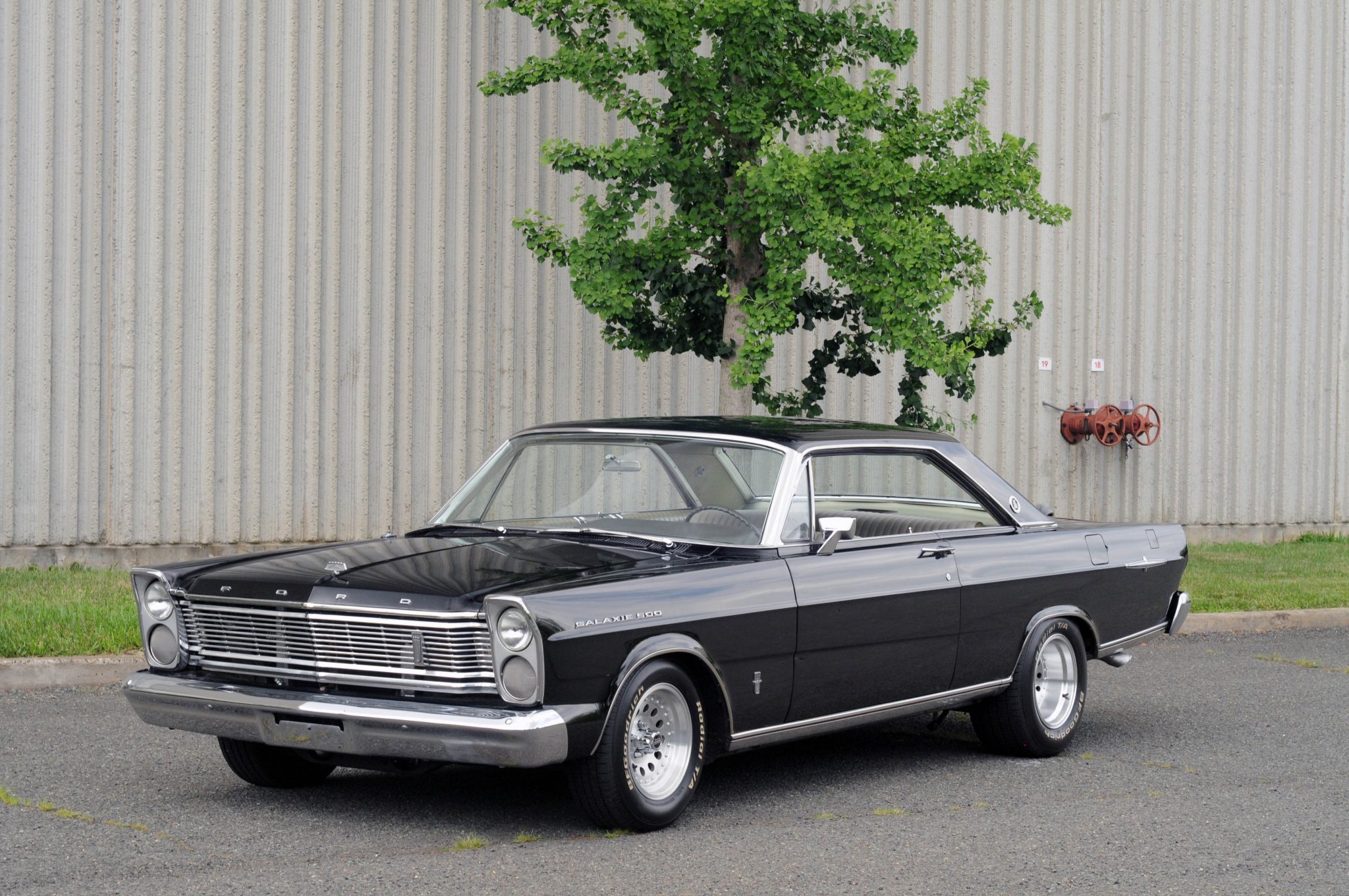 1965 Ford Galaxie 