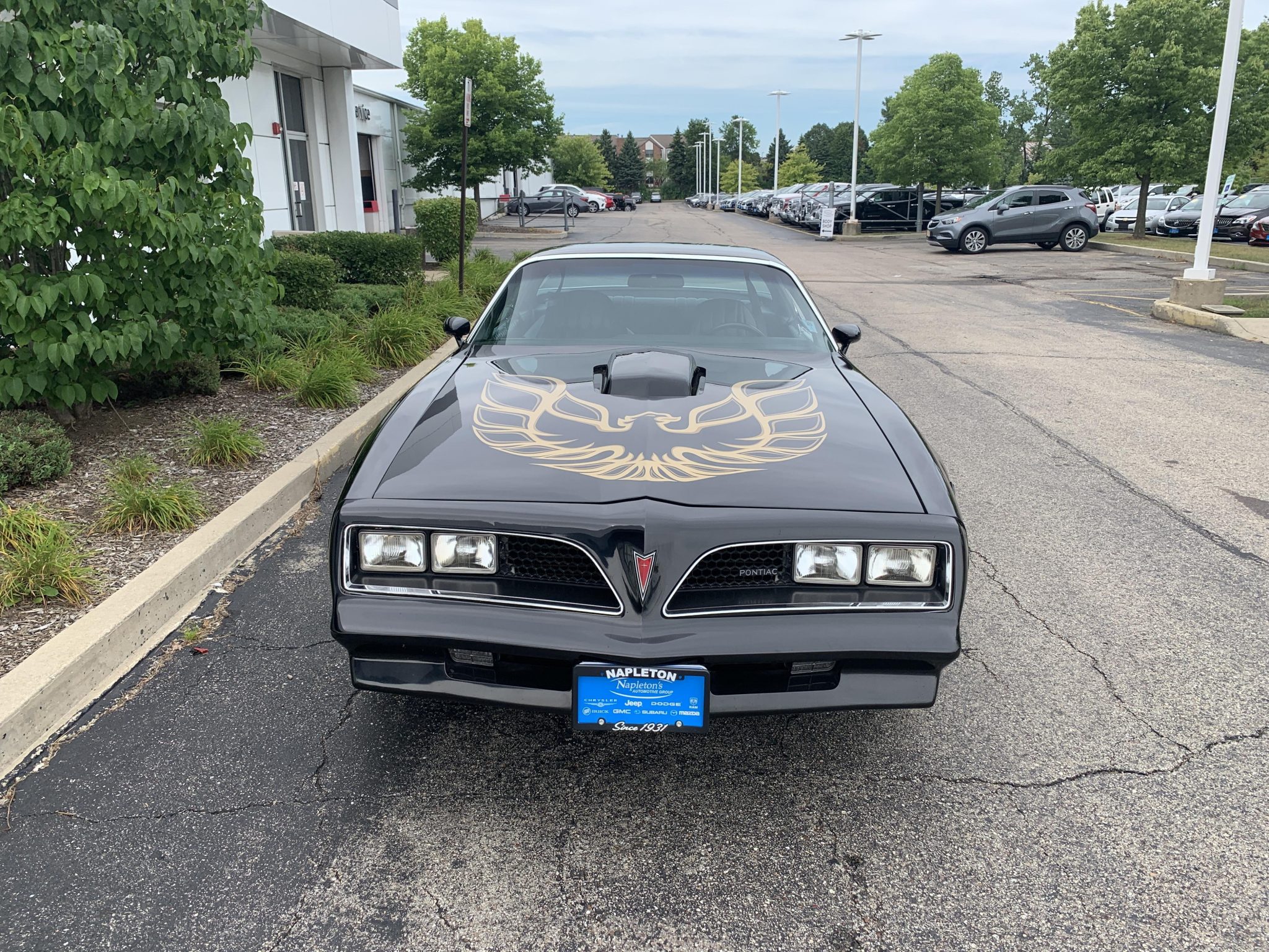 1977 Pontiac Firebird (1970-1981) 