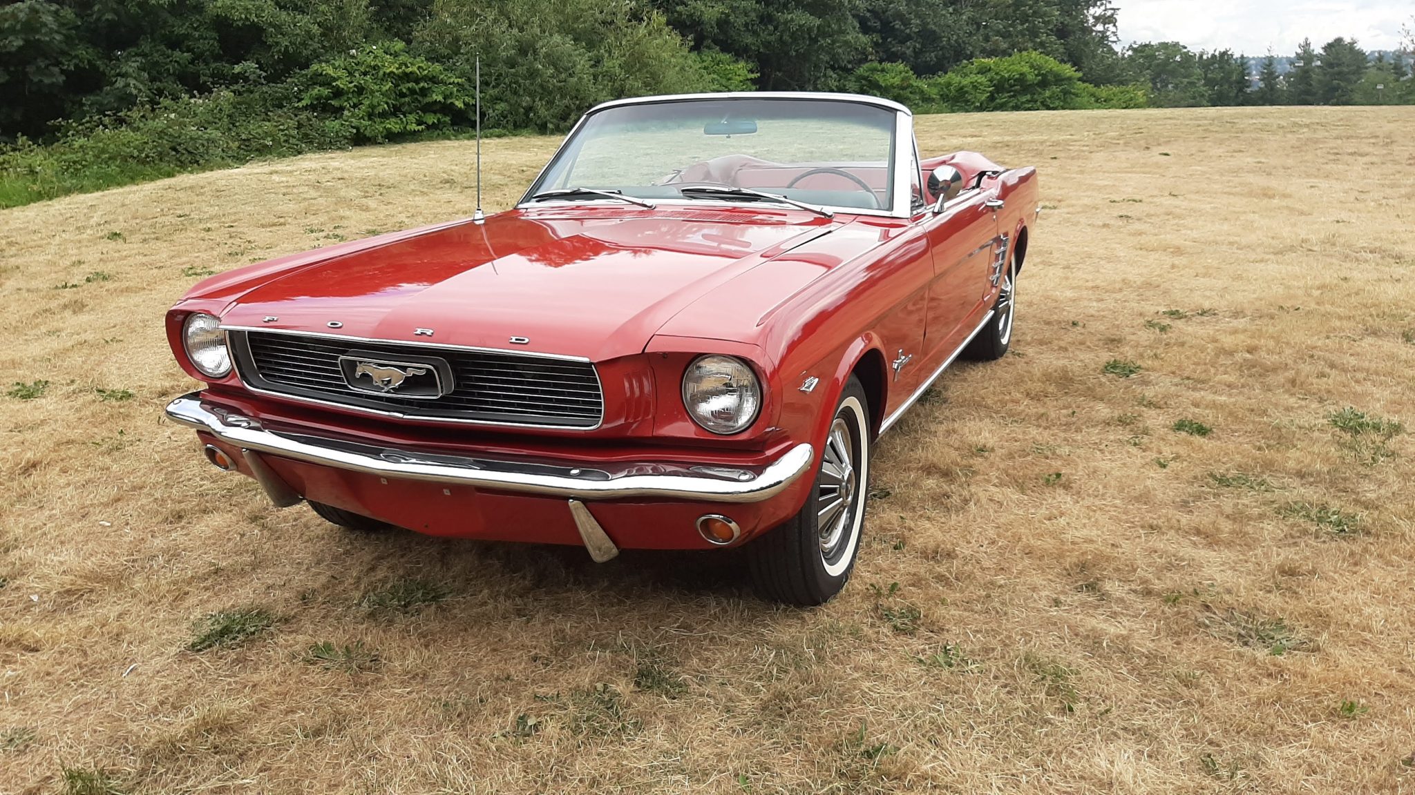 1966 Ford Mustang 1964.5-1966 