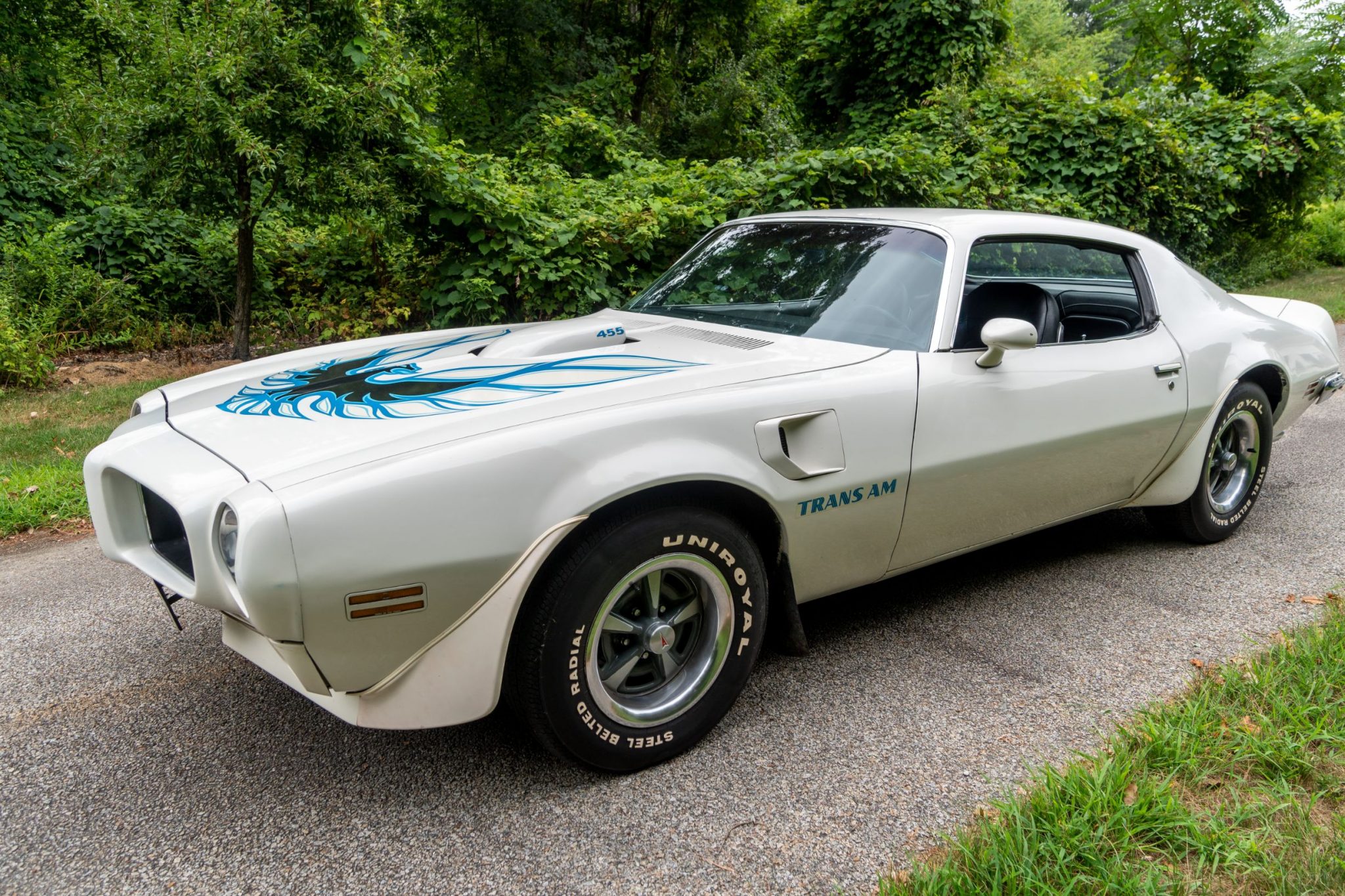 1973 Pontiac Firebird (1970-1981) 