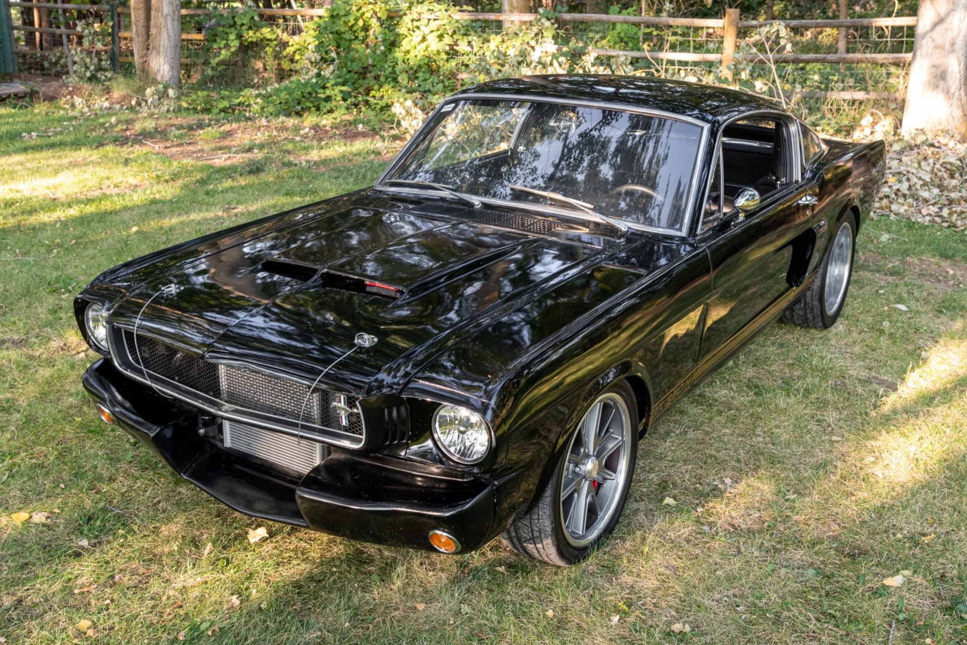 1965 Ford Mustang 1964.5-1966 