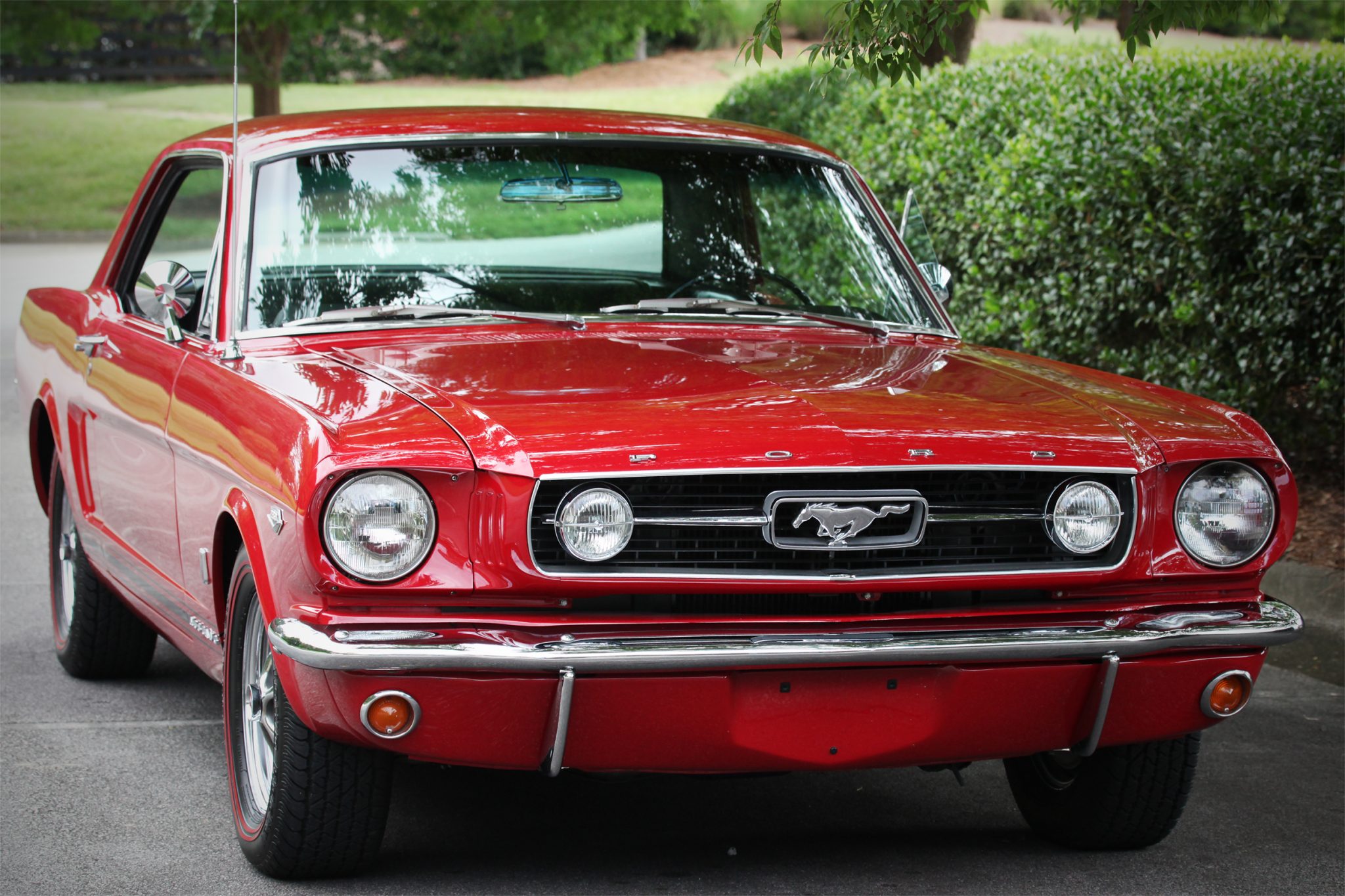 1966 Ford Mustang 1964.5-1966 