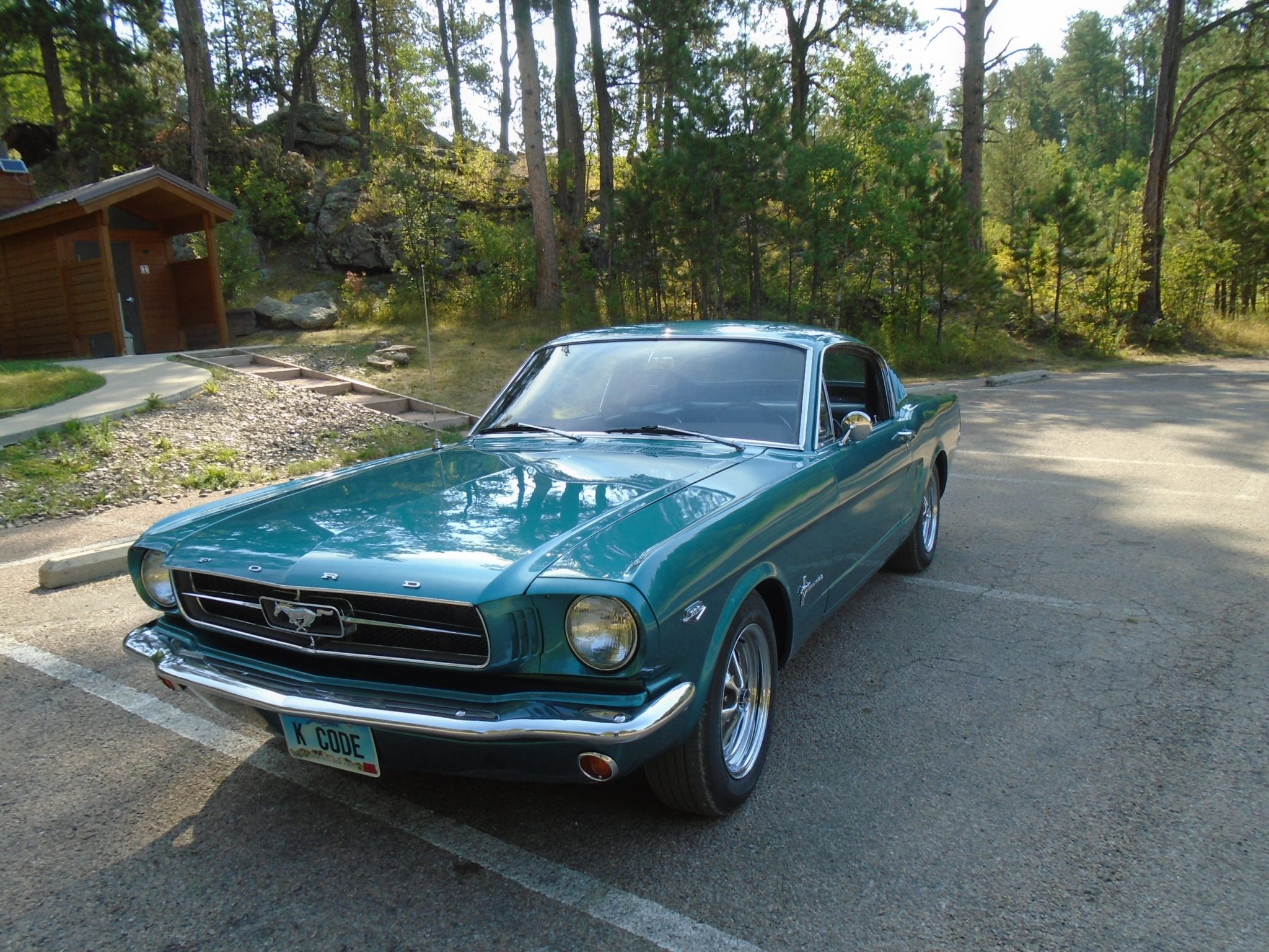 1965 Ford Mustang 1964.5-1966 