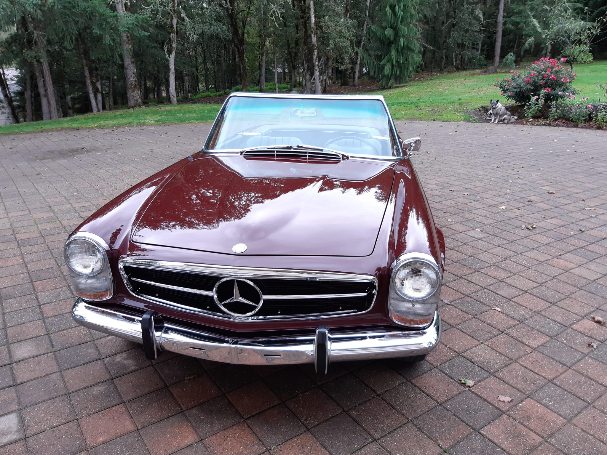 1967 Mercedes-Benz W113 SL 