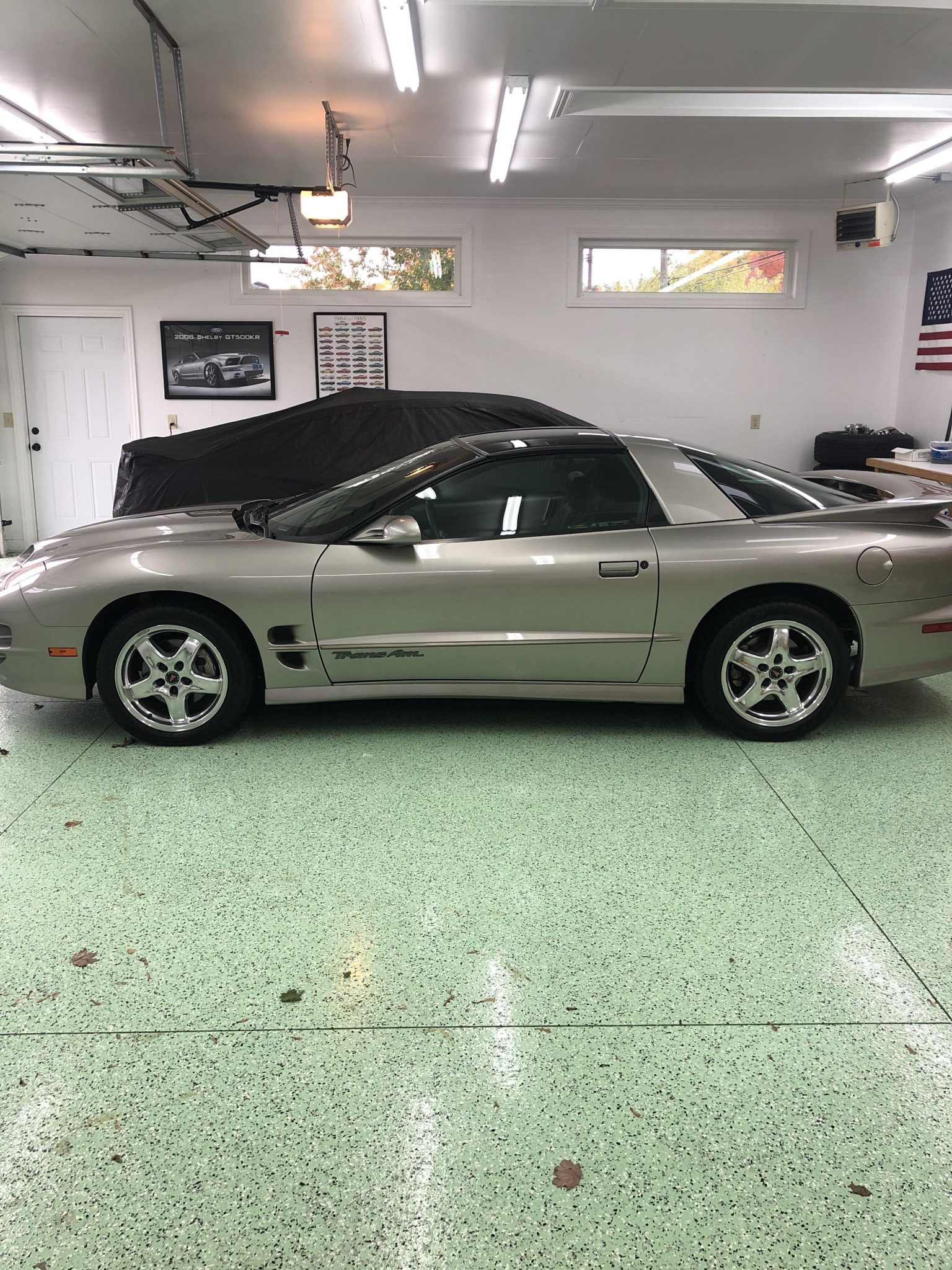 2002 Pontiac Firebird (1993-2002) 