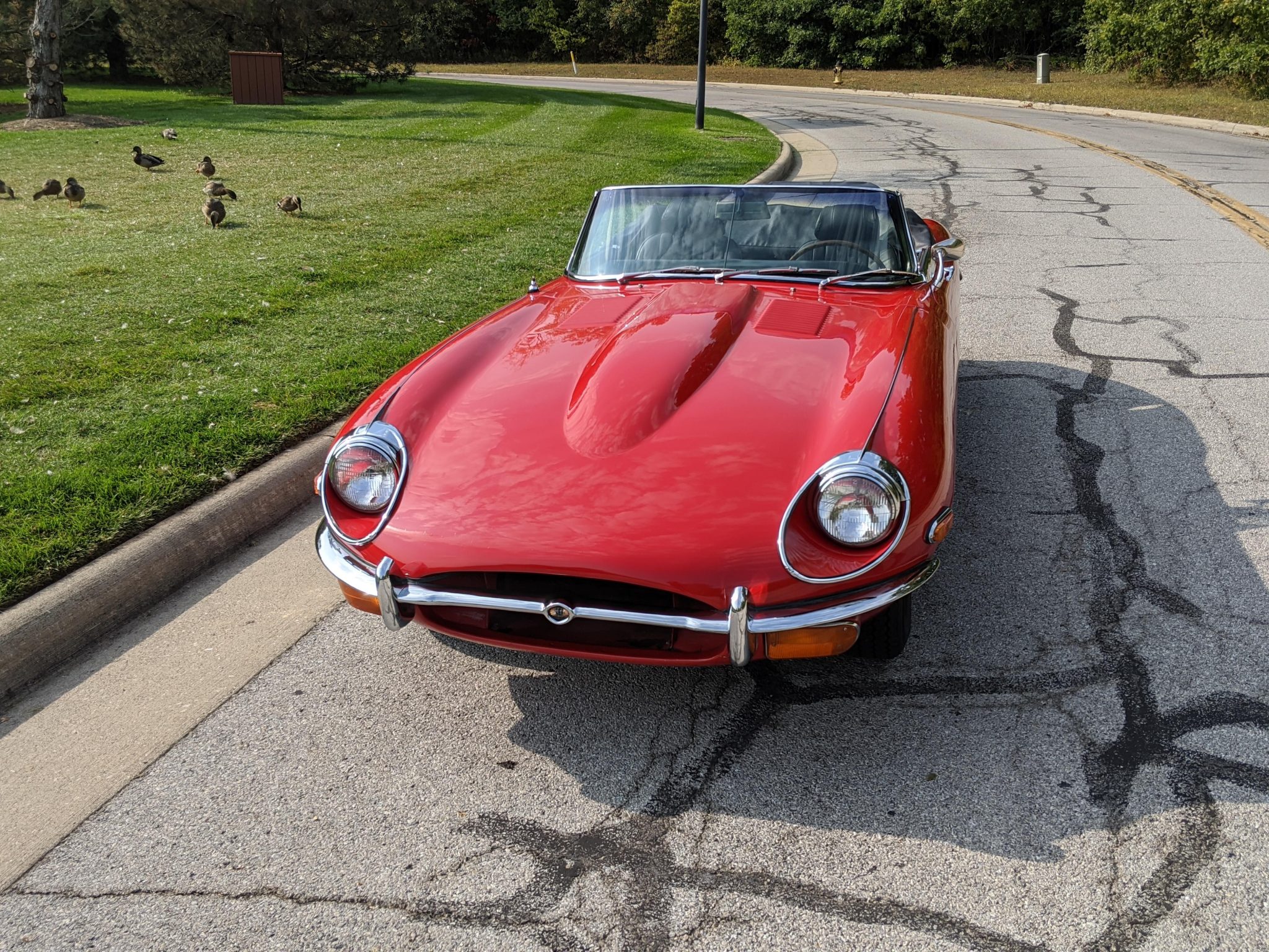 1970 Jaguar XKE Series II 