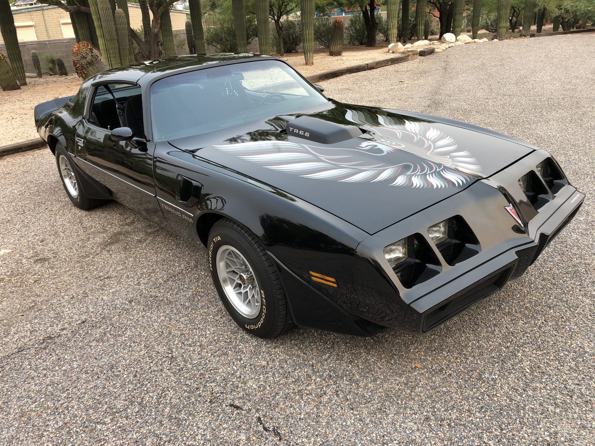 1979 Pontiac Firebird (1970-1981) 