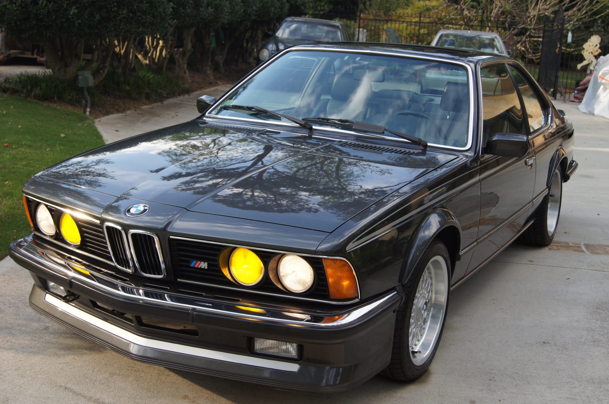 1984 BMW E24 M6 & M635CSi 