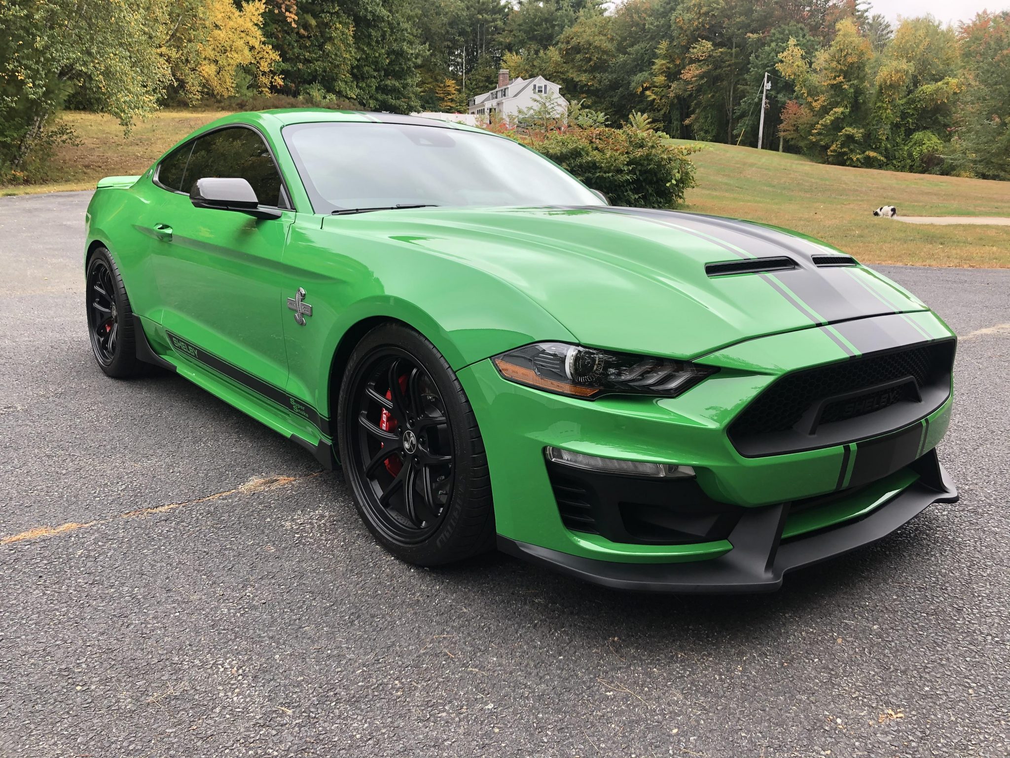 2019 Ford S550 Shelby Mustang 