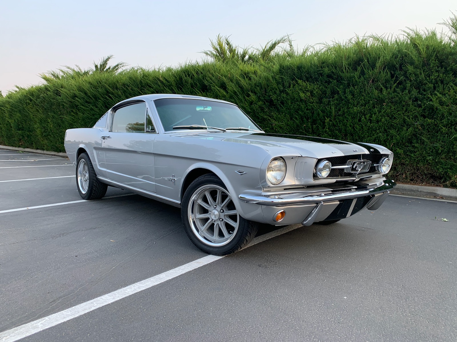 1965 Ford Mustang 1964.5-1966 