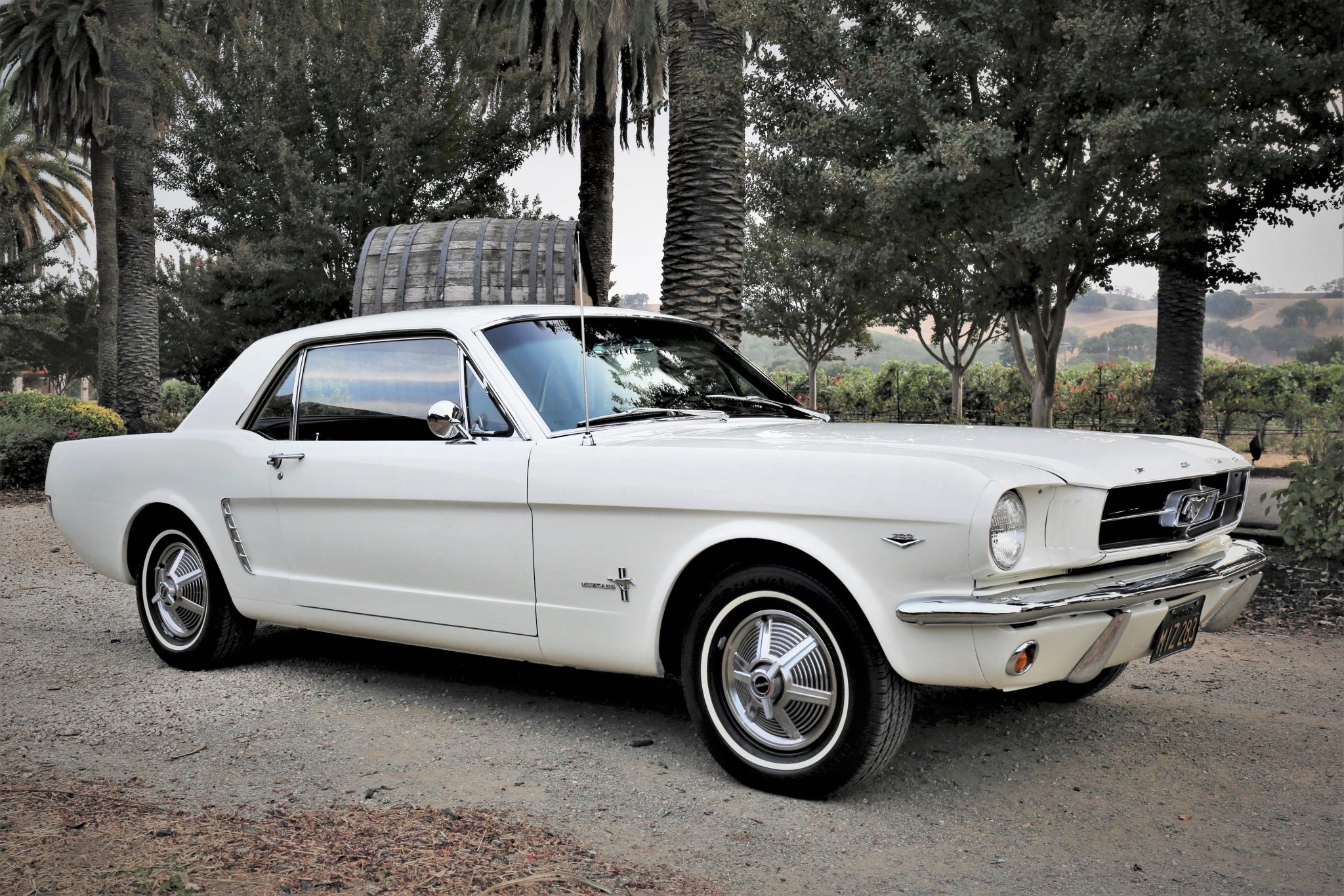 1965 Ford Mustang 1964.5-1966 