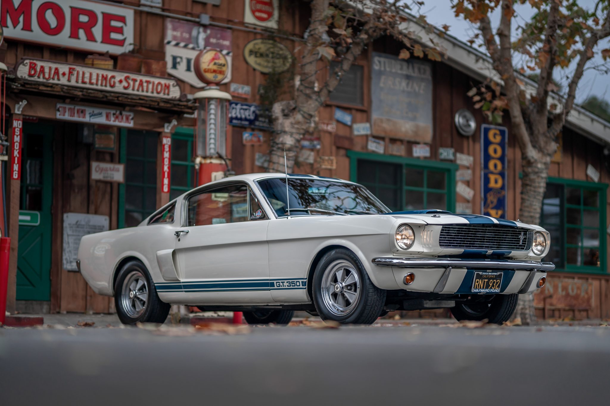 1966 Shelby Mustang GT350 & GT500 