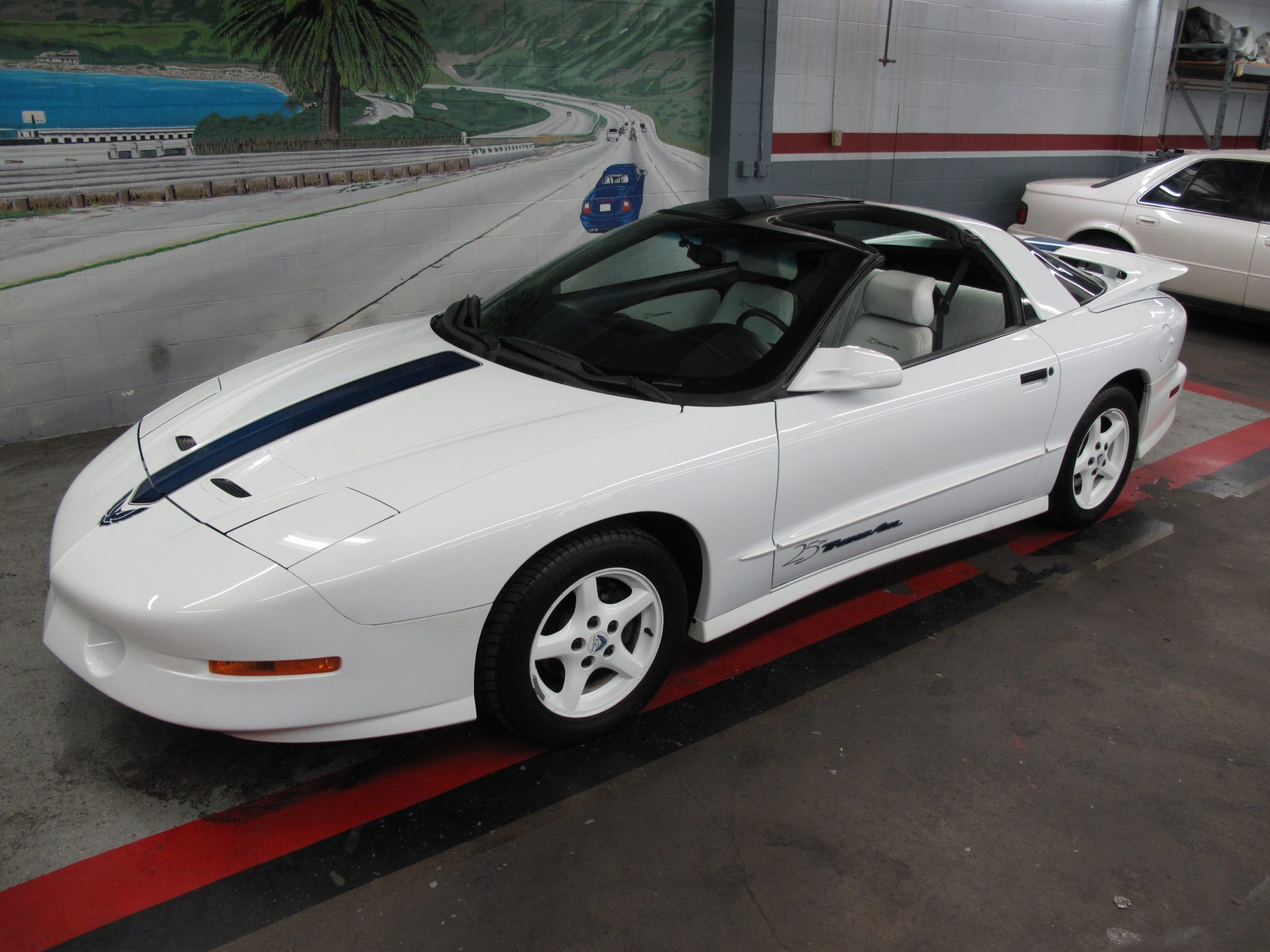 1994 Pontiac Firebird (1993-2002) 