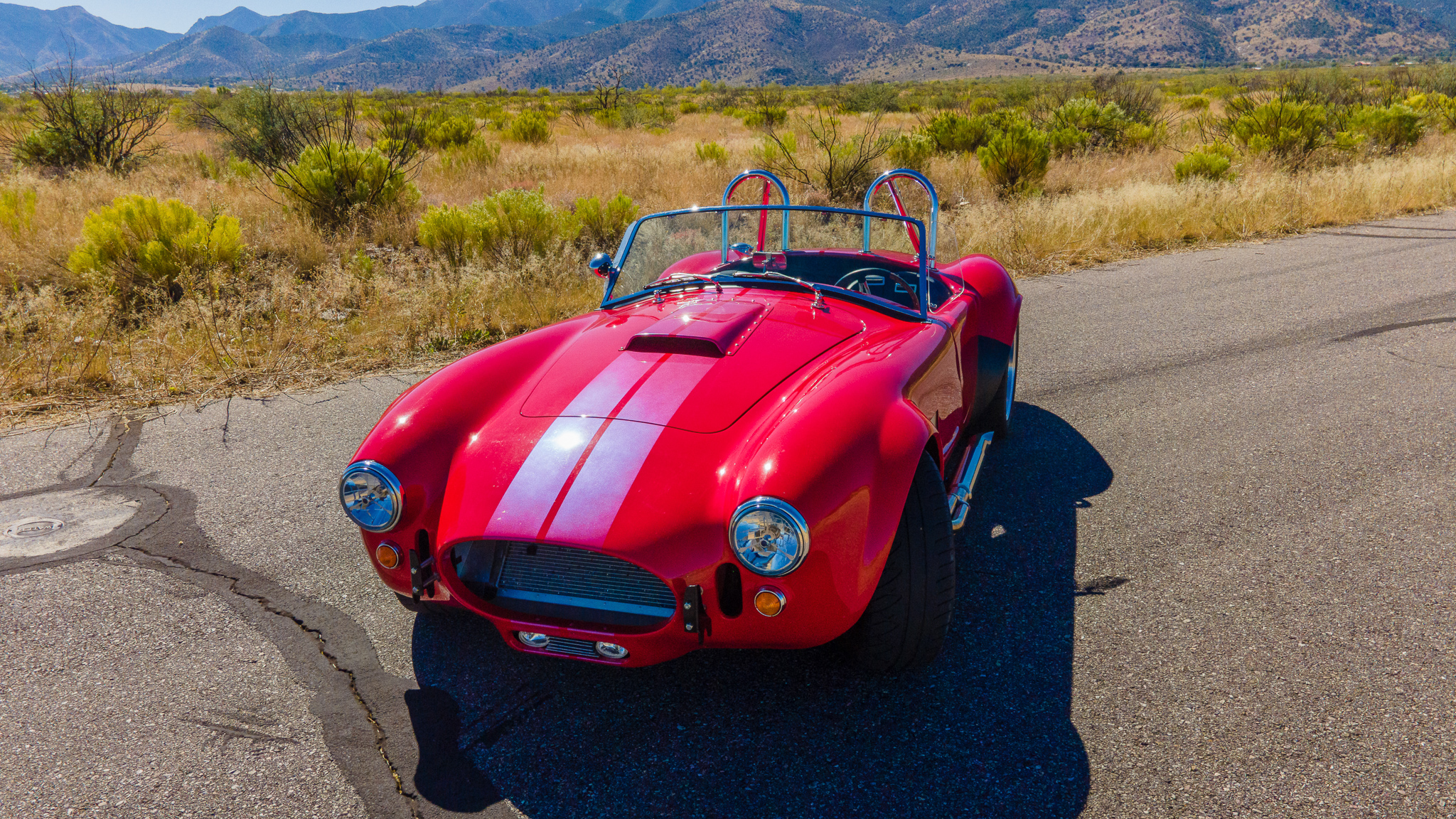 1965 Shelby Cobra Replica 