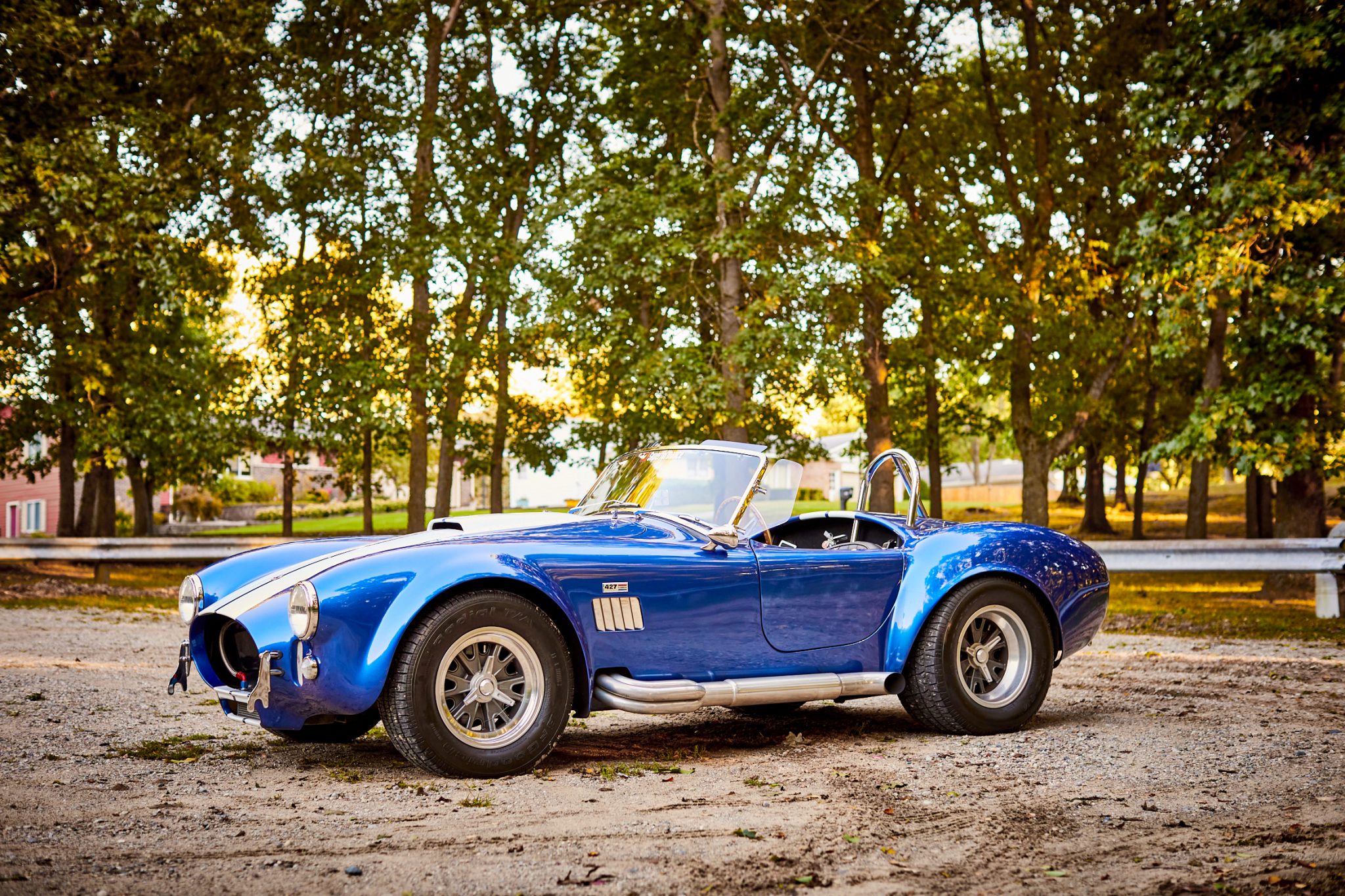 2001 Shelby Cobra Replica 