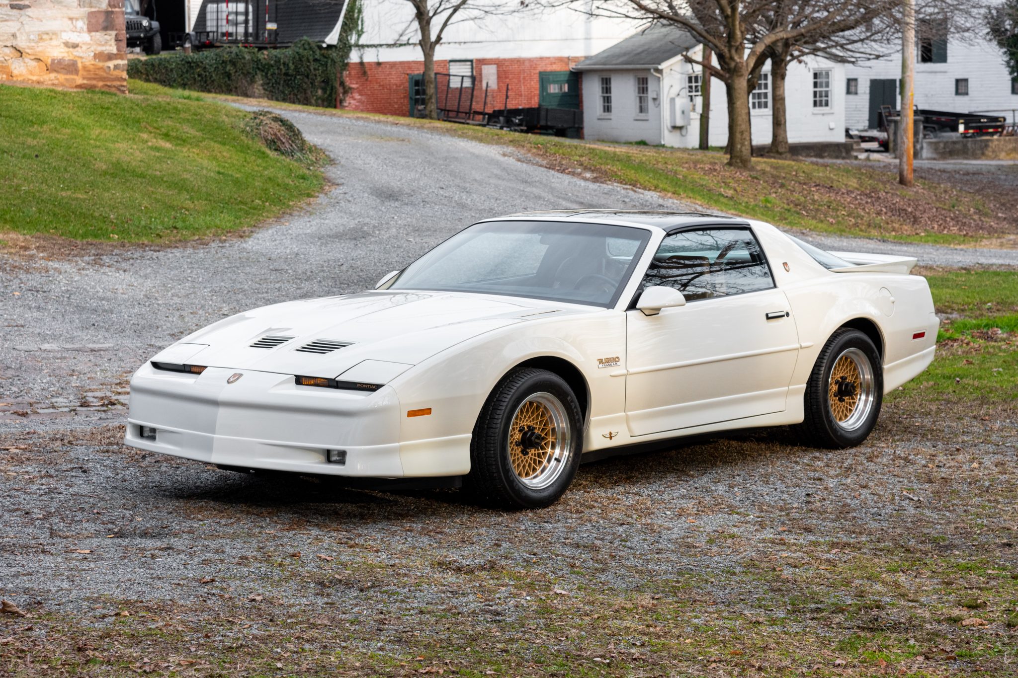 1989 Pontiac Firebird (1982-1992) 