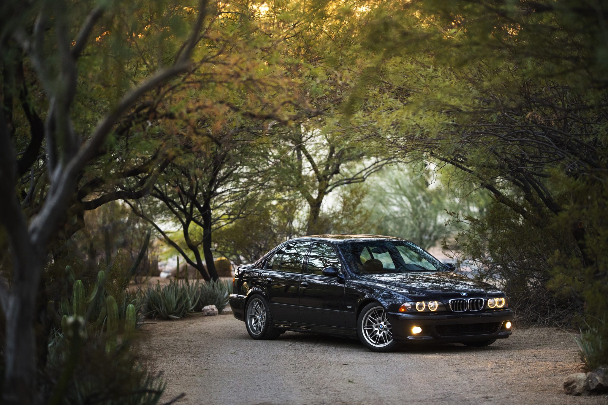 2001 BMW E39 M5 