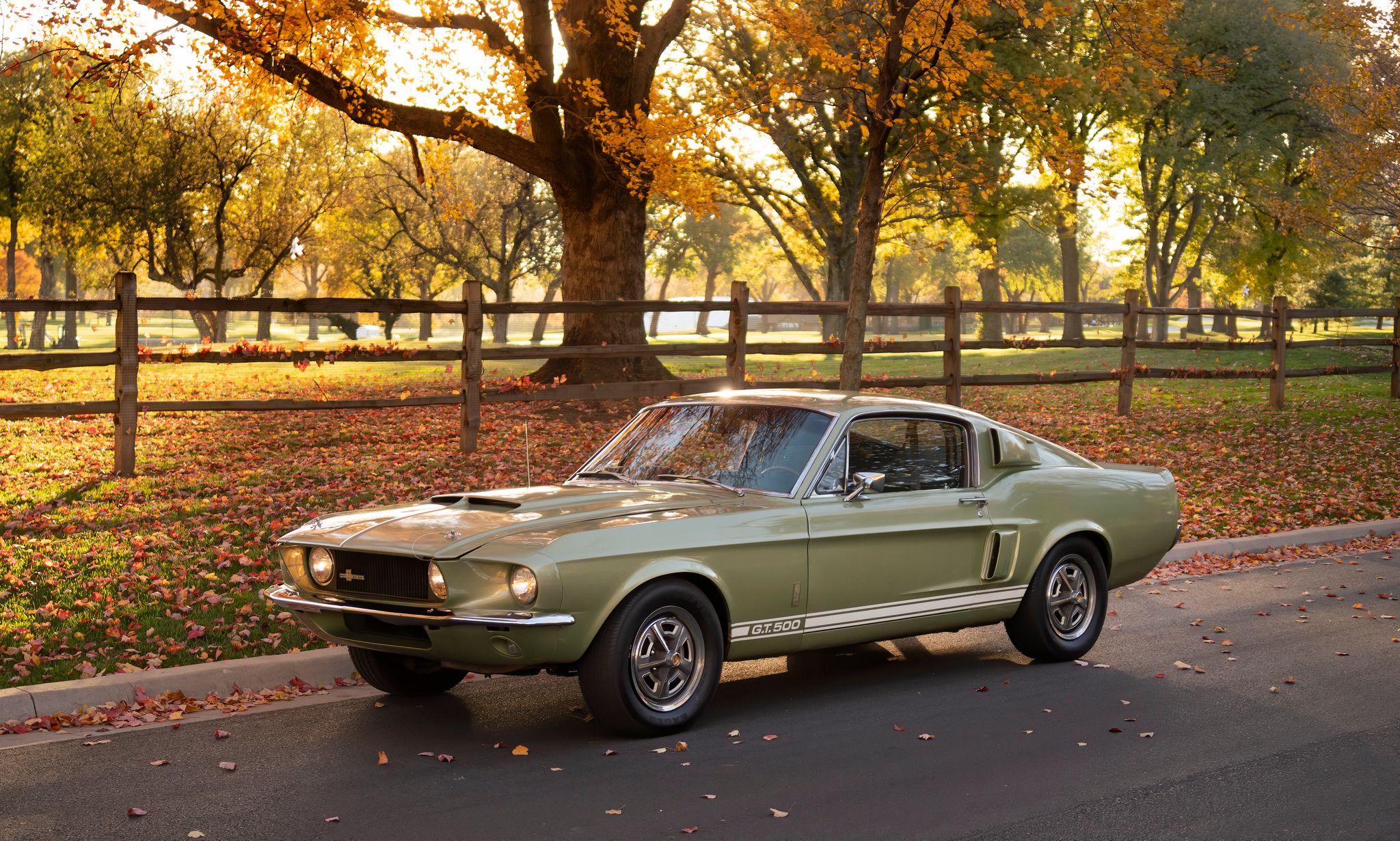 1967 Ford Mustang 1967-1968 