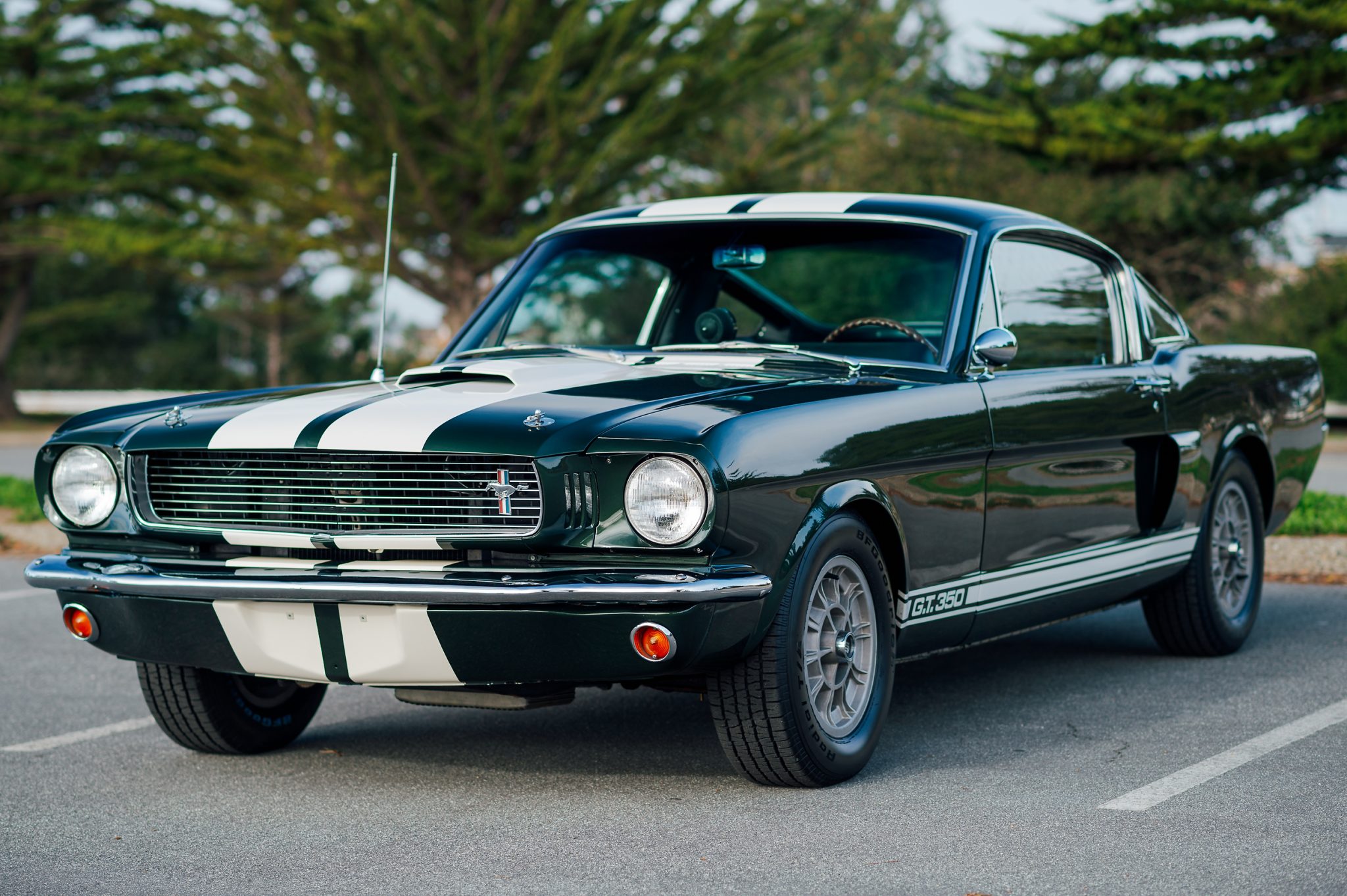 1966 Shelby Mustang GT350 & GT500 